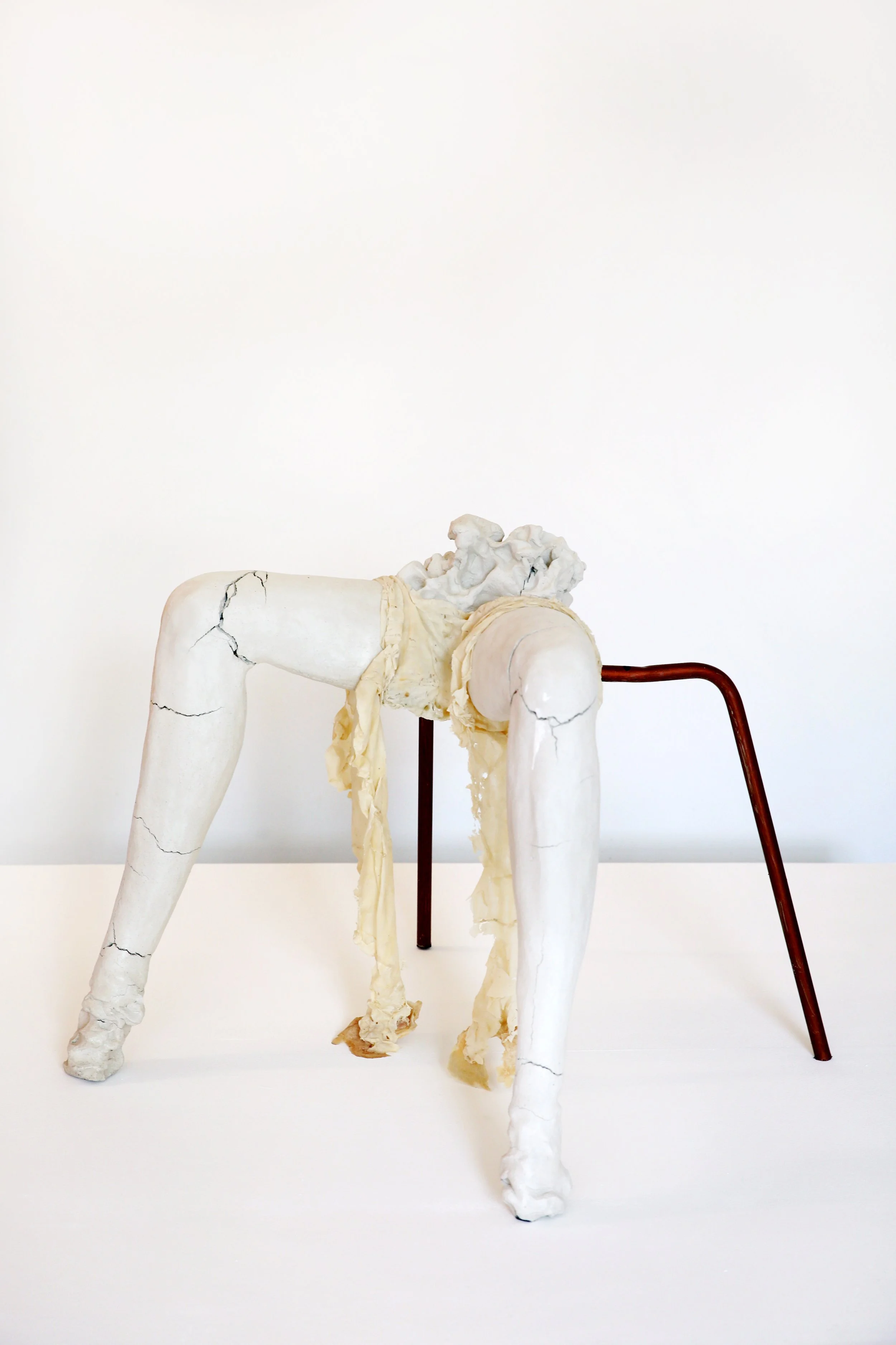Legs-Rachel-Mackay copy.jpg