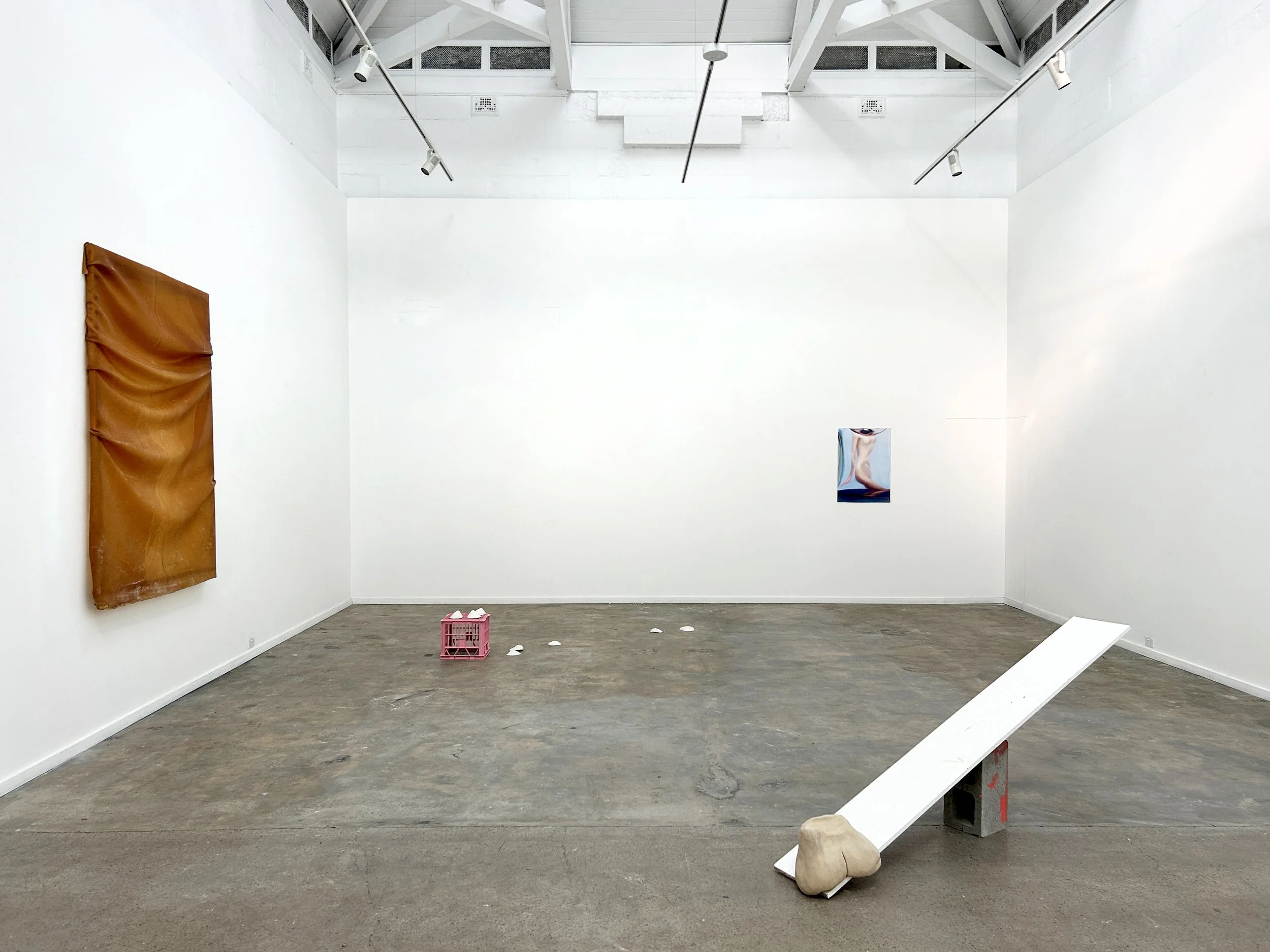 Master of Fine Art Body of Work, 2024