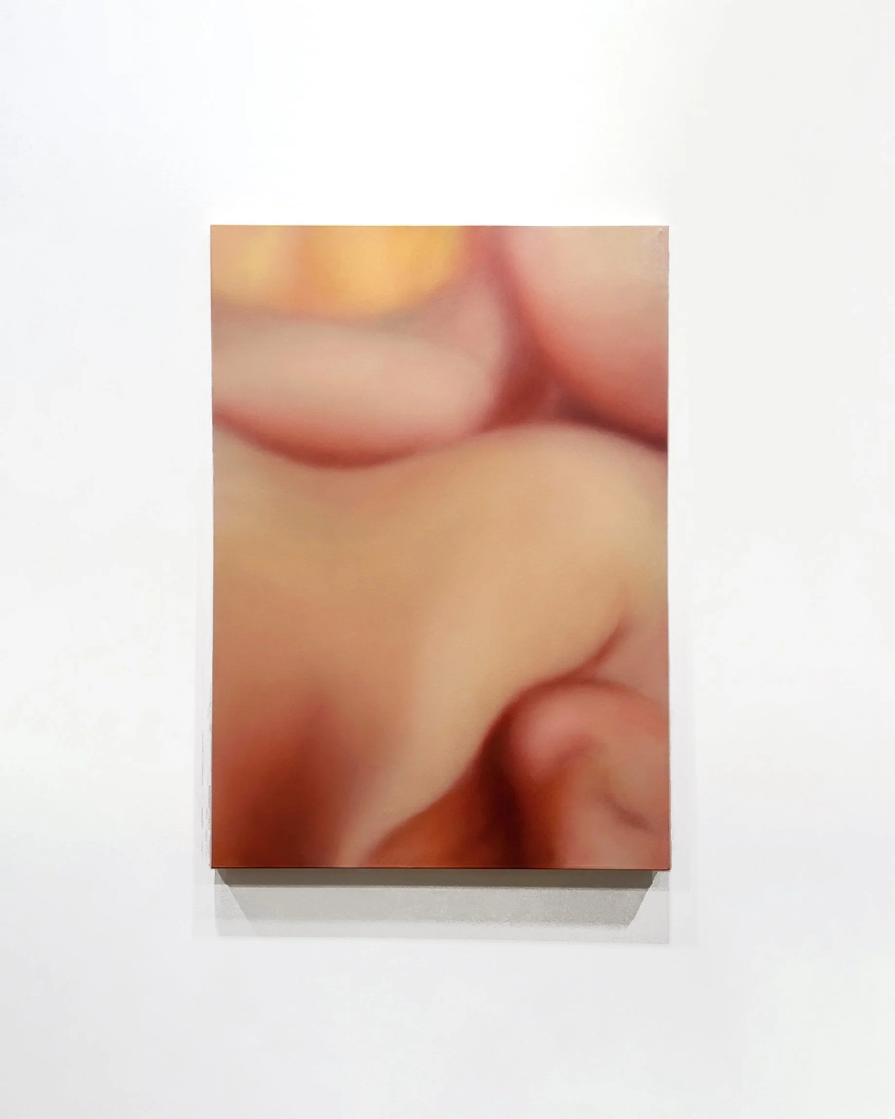 The dream-body (hypnagogic sensations) I, 2025