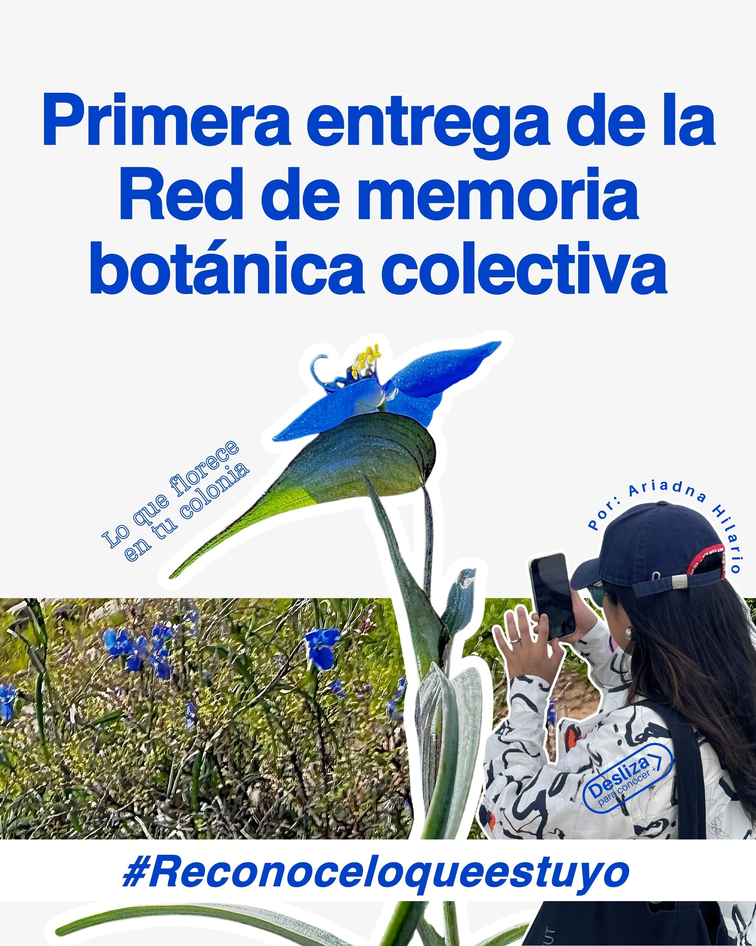 1.Memoria botánica colectiva_Ariadna-Hilario.jpg