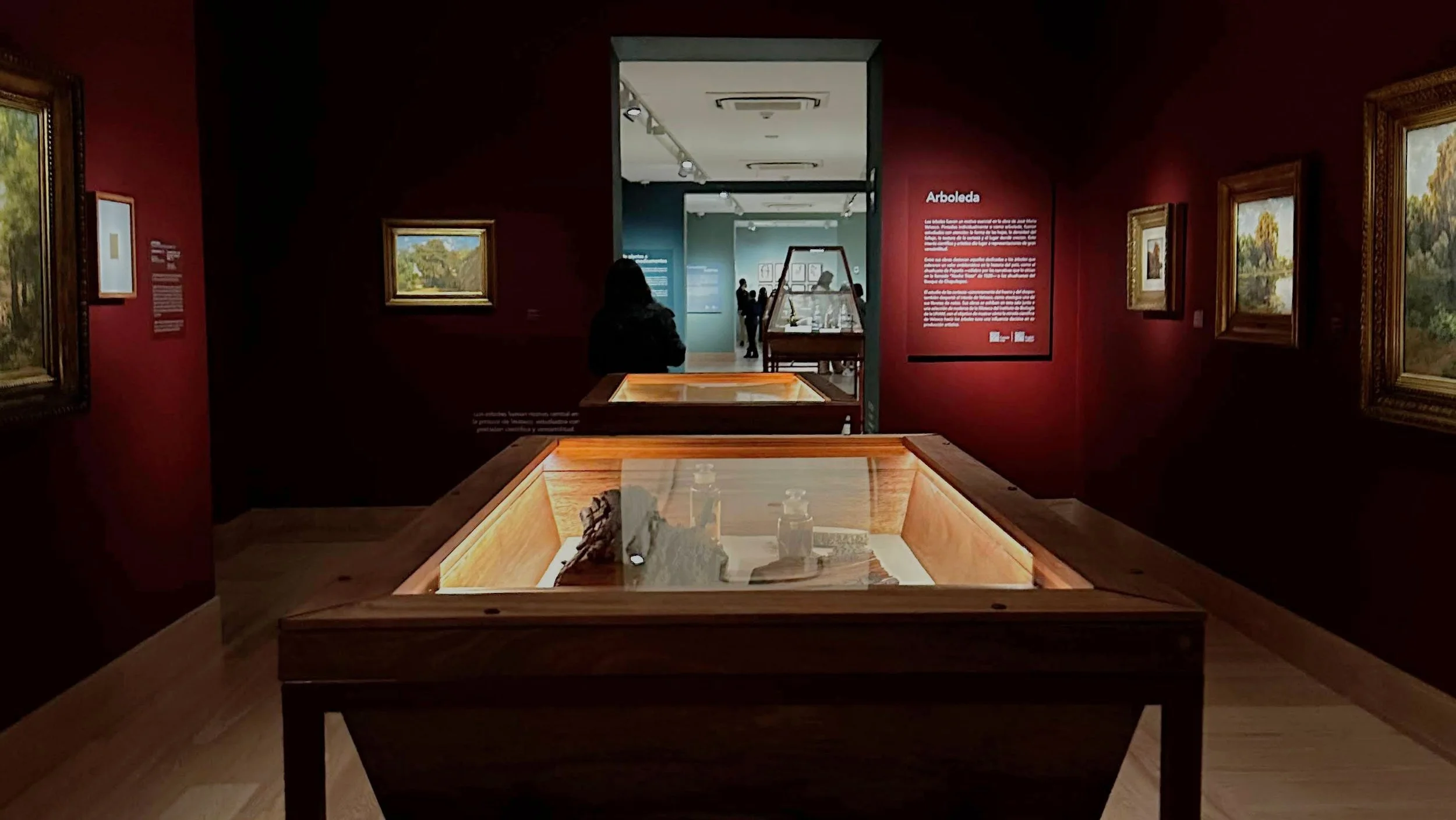 José María Velasco: paisaje, botánica y memoria del territorio.