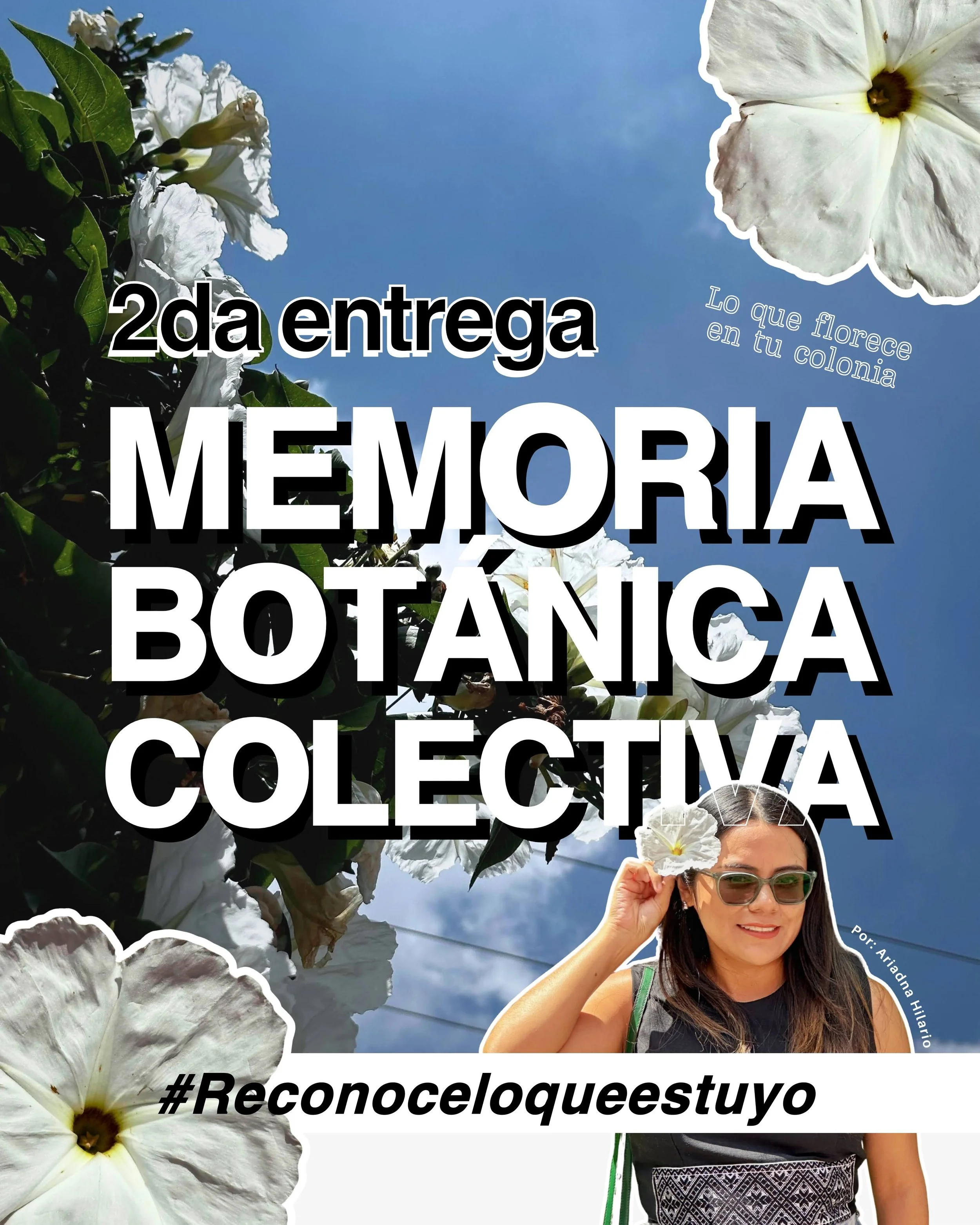 2.Memoria botánica colectiva_Ariadna-Hilario.JPG