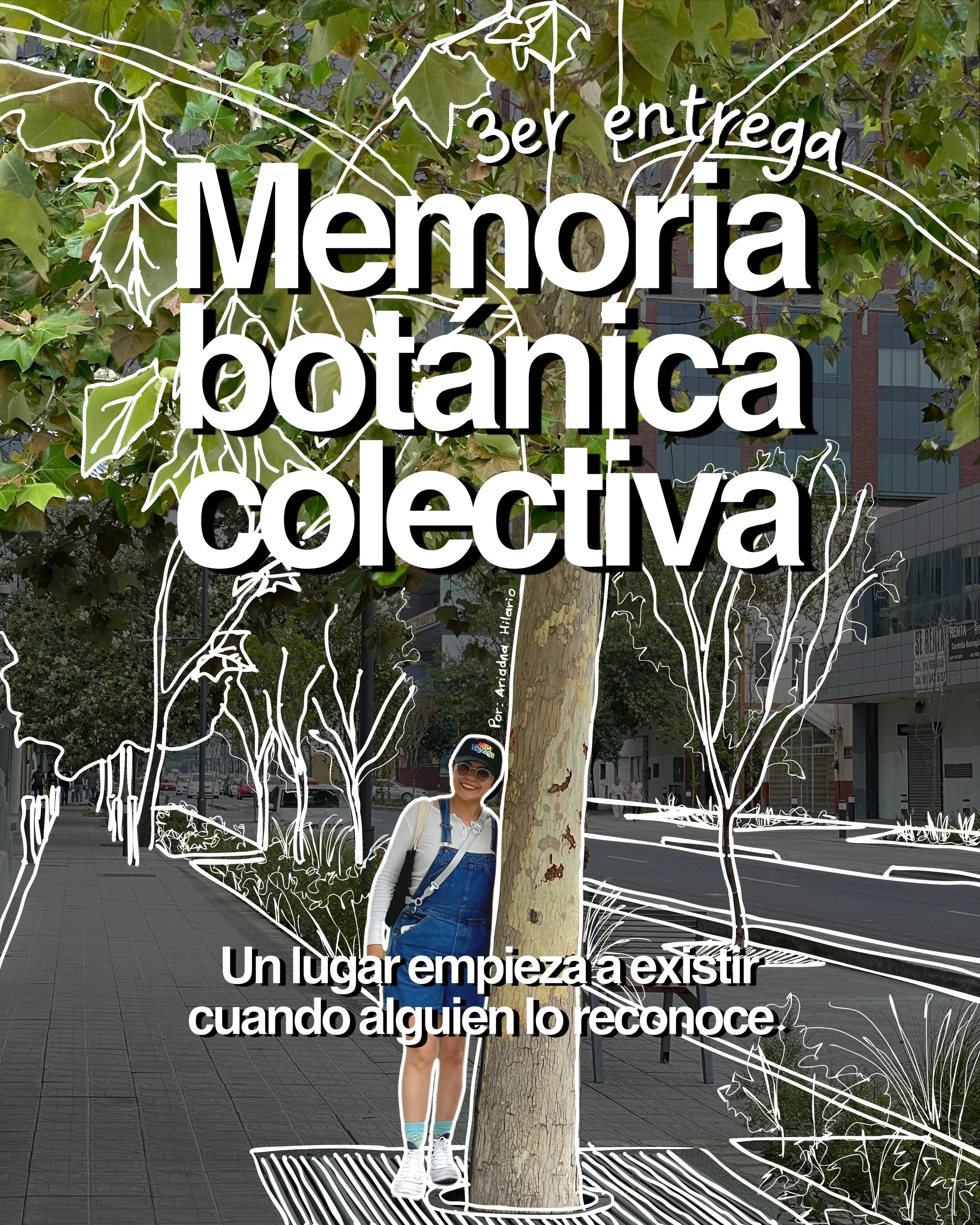 3.Memoria botánica colectiva_Ariadna-Hilario.jpg