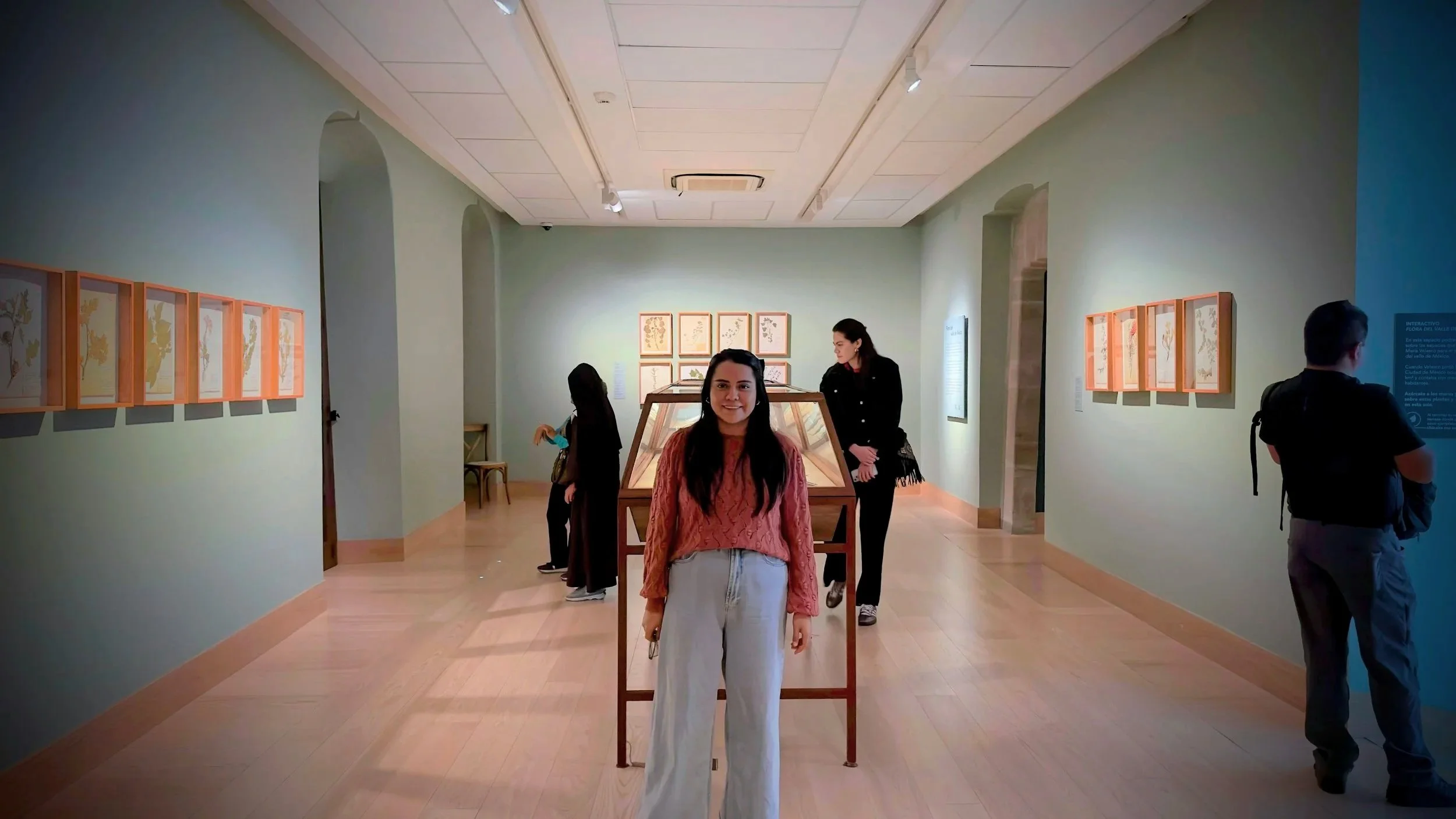 Vista desde la sala “Flora del Valle de México”, parte de la exposición “El Jardín de Velasco” en el Museo Kaluz.