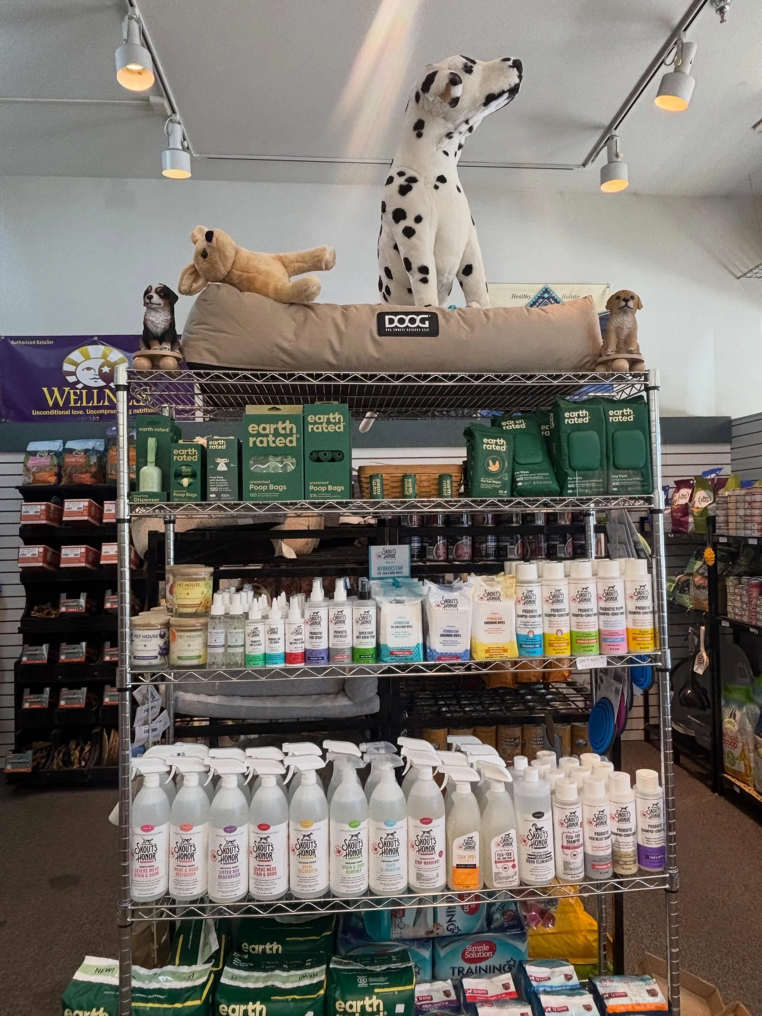 Just a moment for our pet section 🐱🐶✨

#petfinds #petfood #pettoys #sthelena