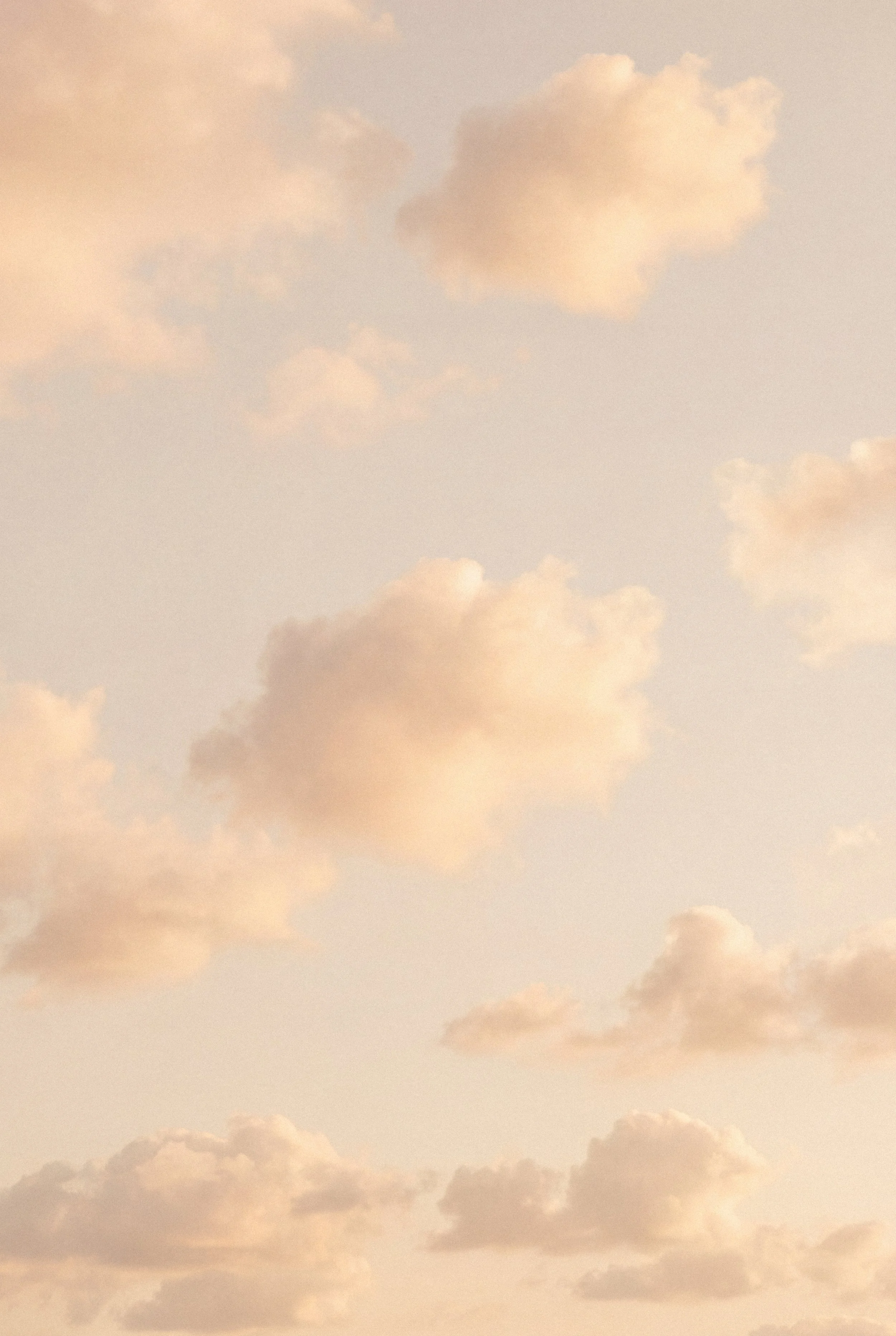 Soft, pastel-colored sky with scattered clouds during sunset or sunrise.