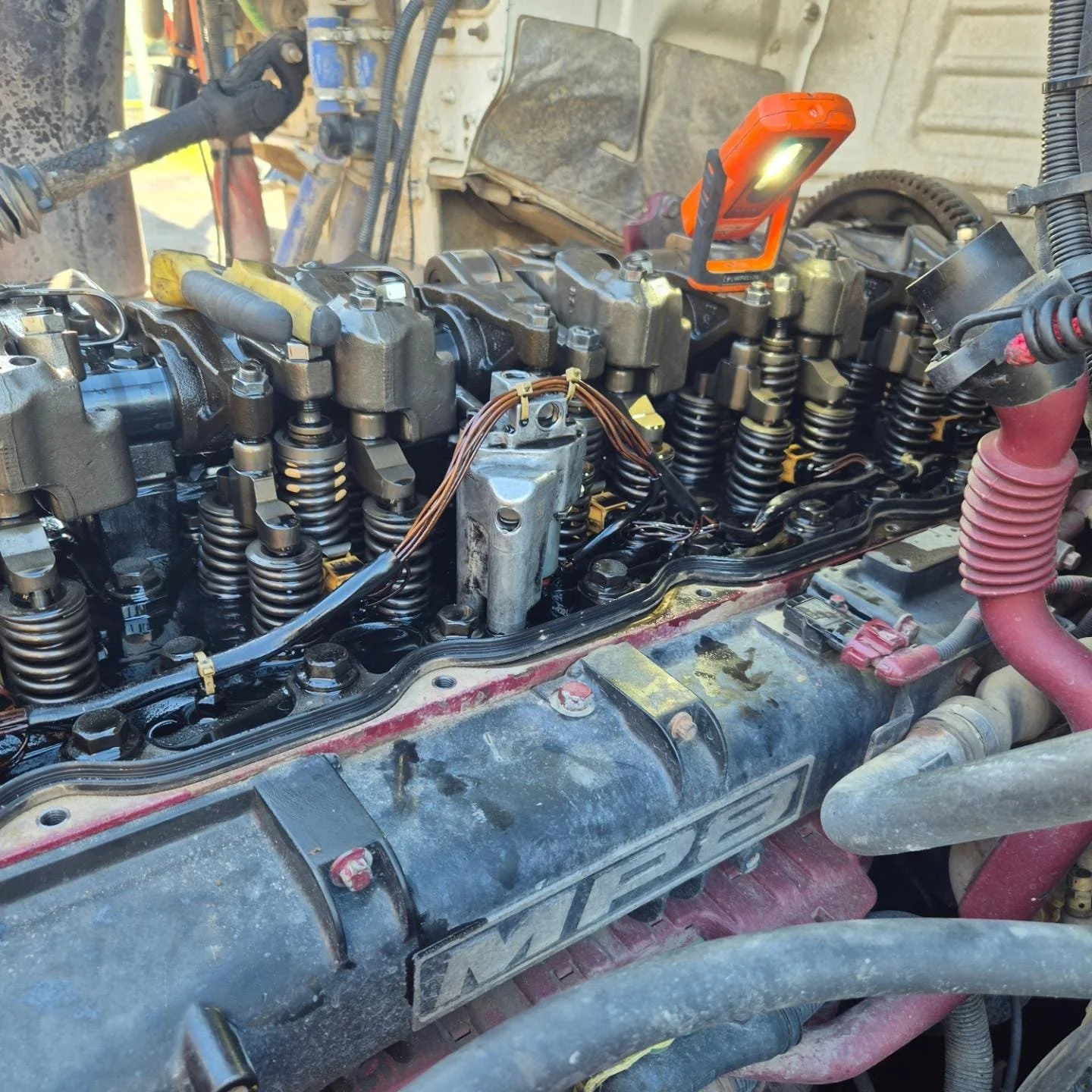 WhatsApp Image 2026-01-14 at 9.35.37 PM (2).jpeg