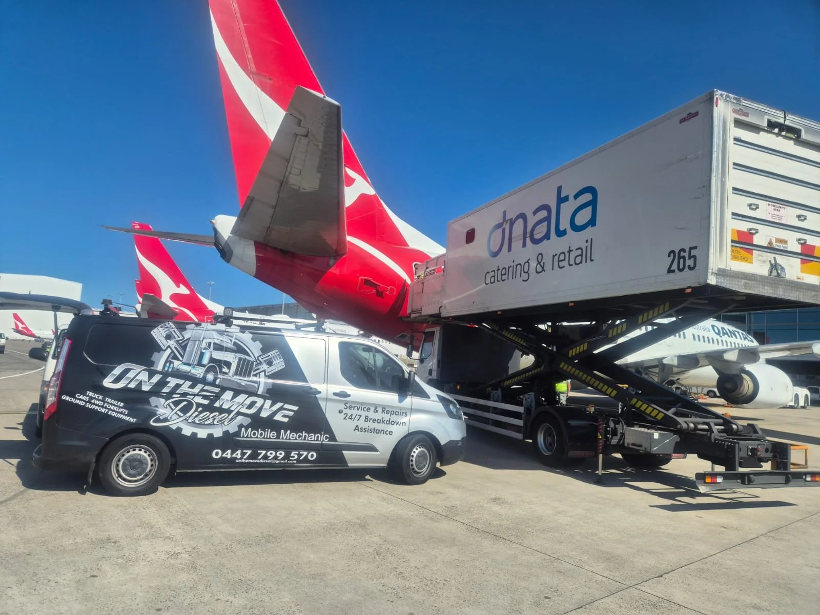 WhatsApp Image 2026-01-14 at 9.35.28 PM.jpeg