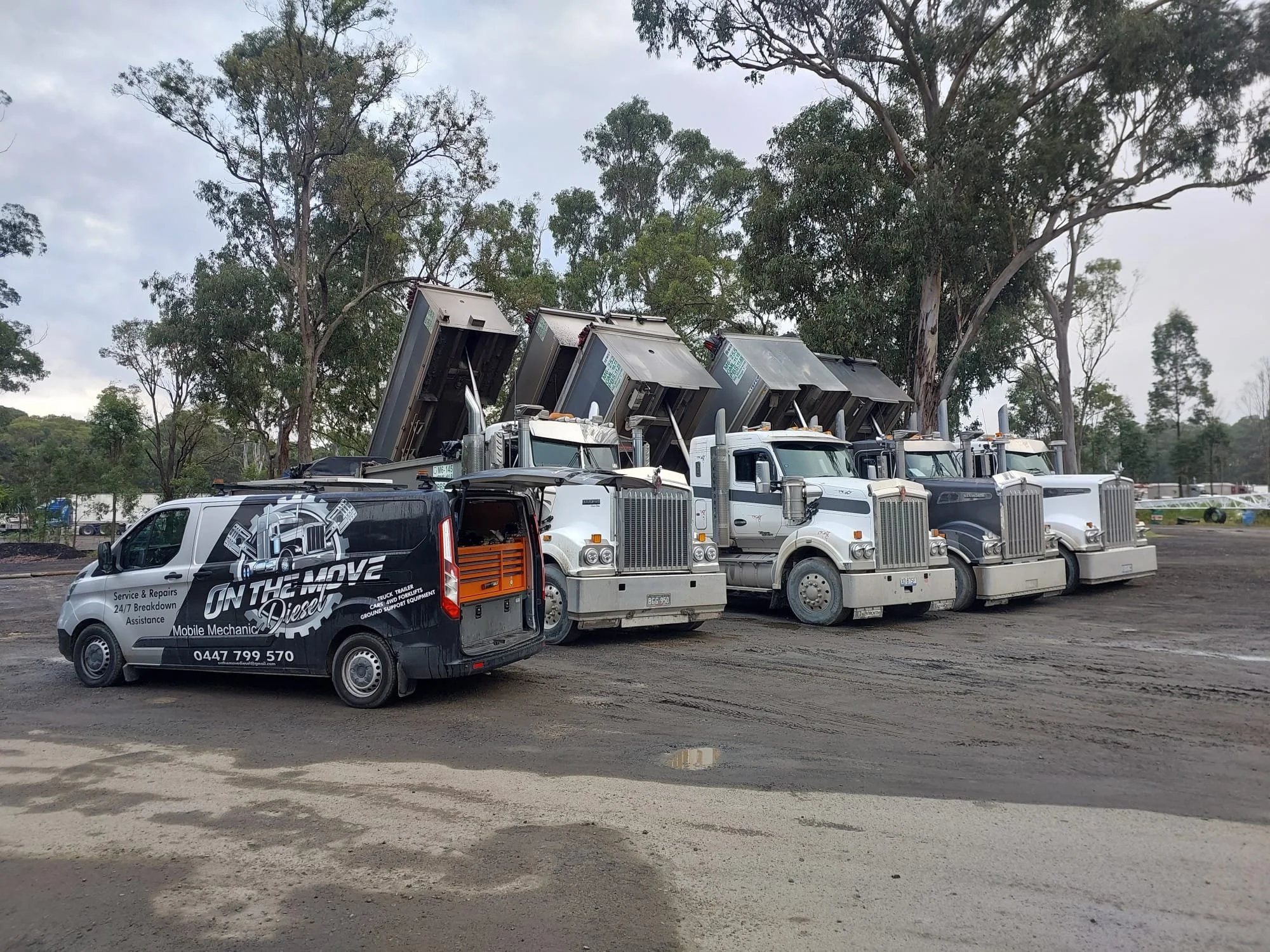 WhatsApp Image 2026-01-14 at 9.35.37 PM (1).jpeg