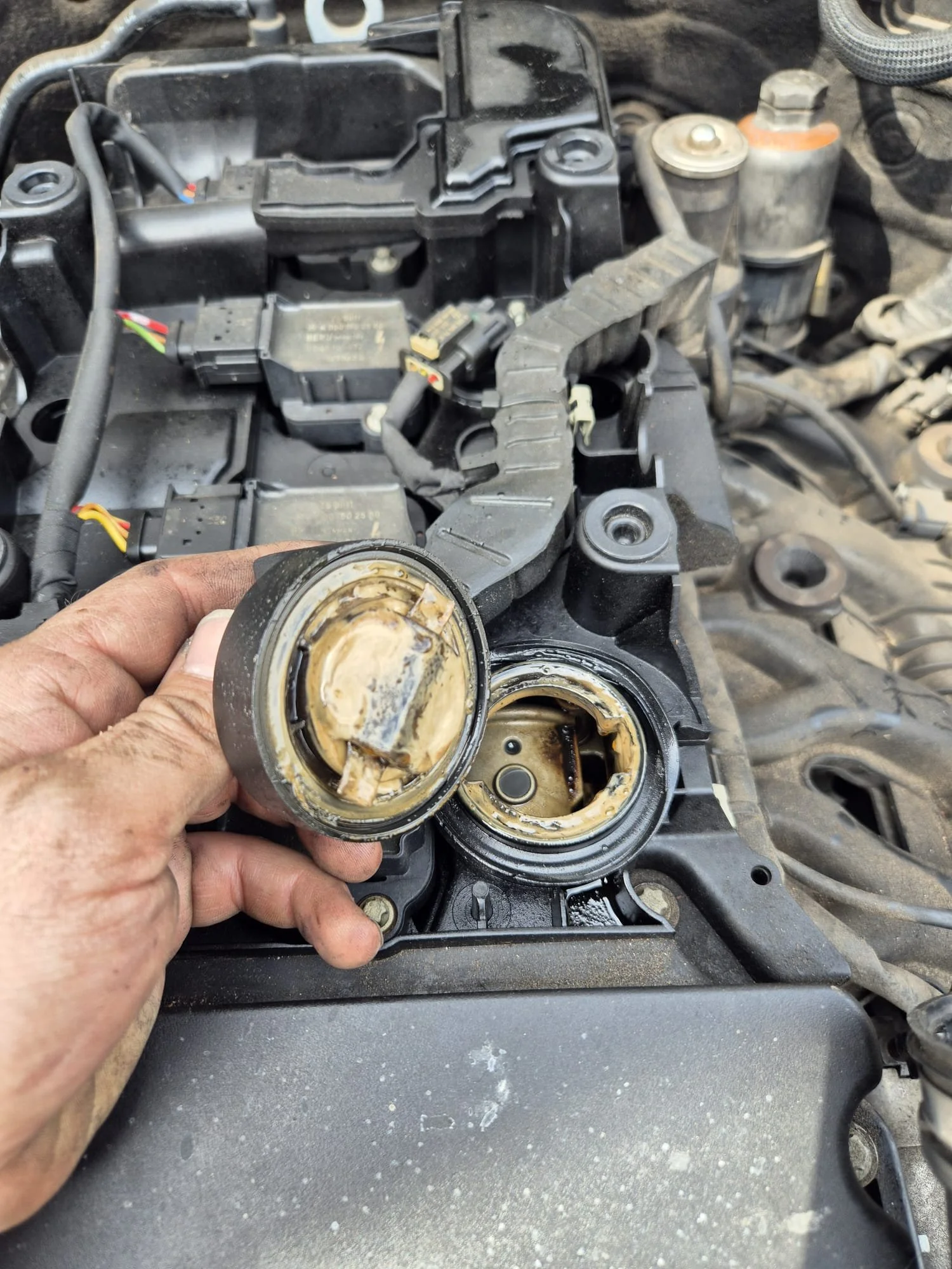 WhatsApp Image 2026-01-14 at 9.35.34 PM (2).jpeg