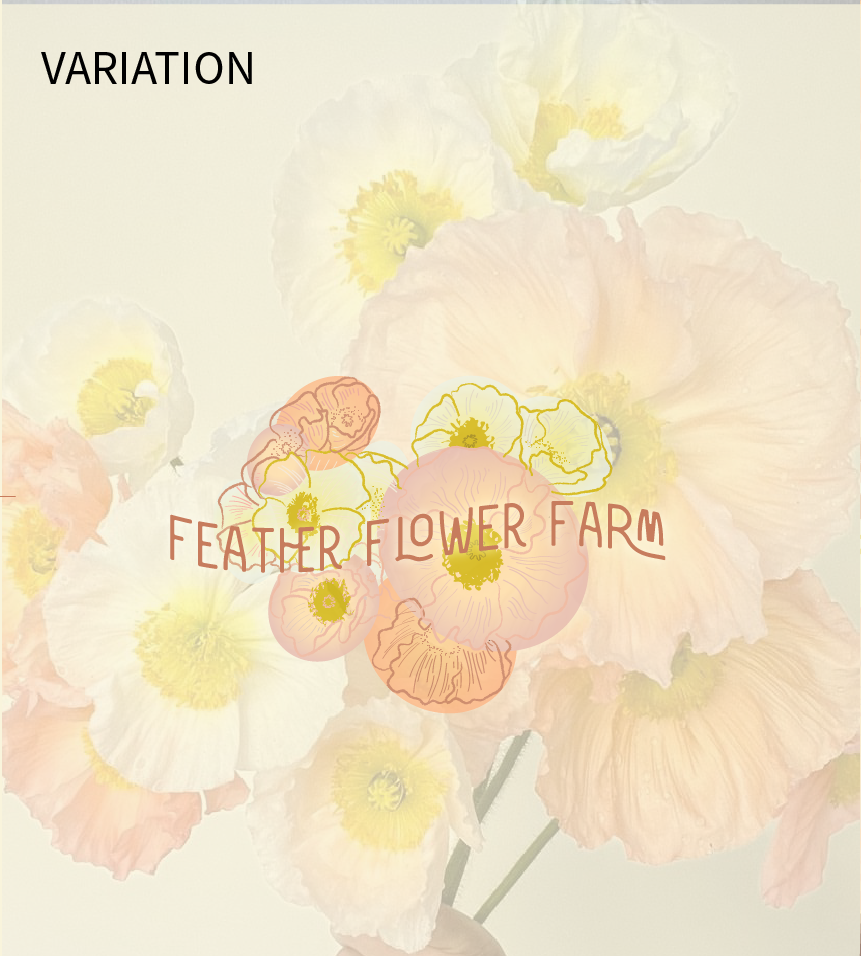 feather_flower_farm-05.PNG
