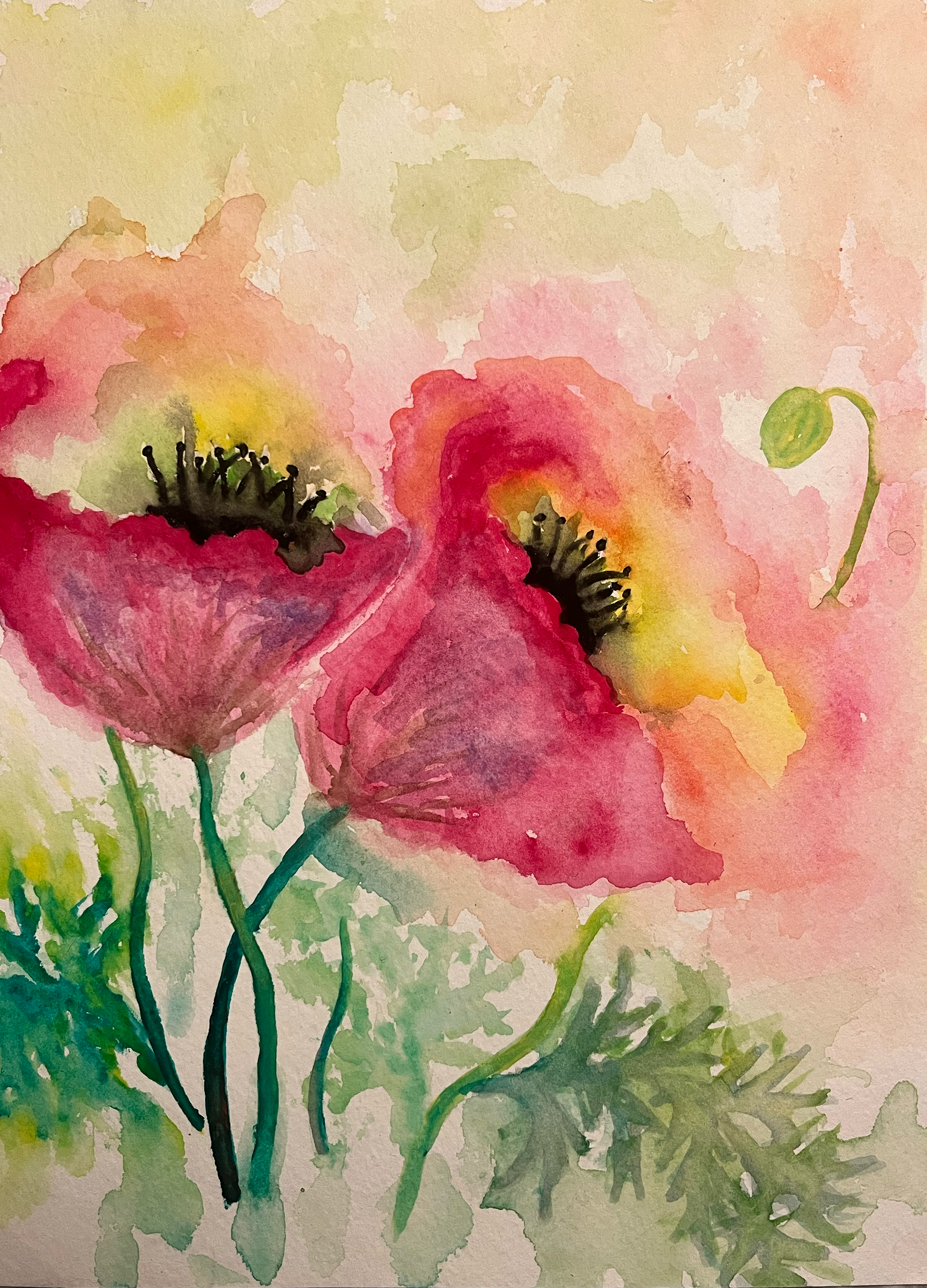 WaterColor Poppys.png