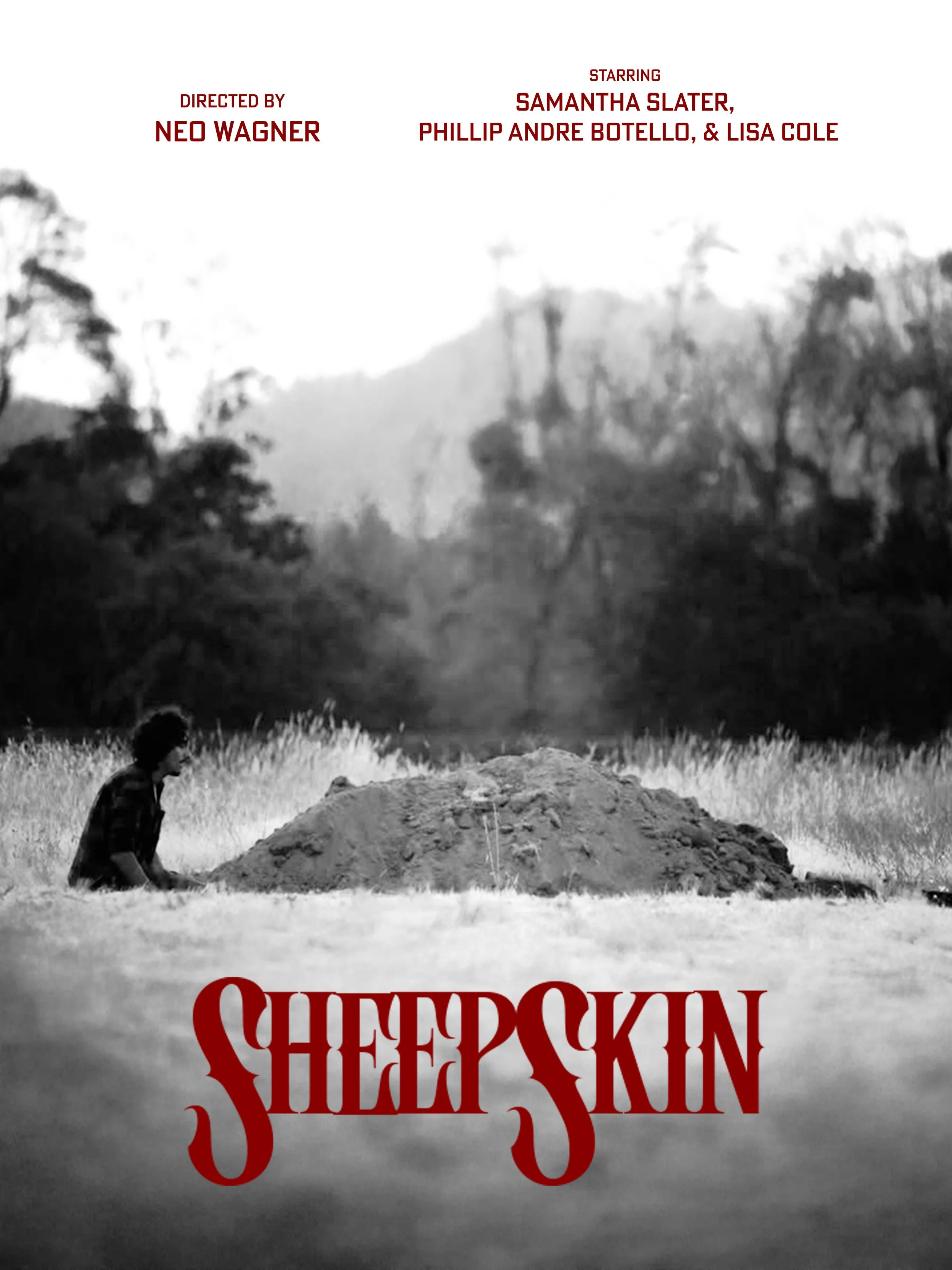 SheepSkin Poster.jpg