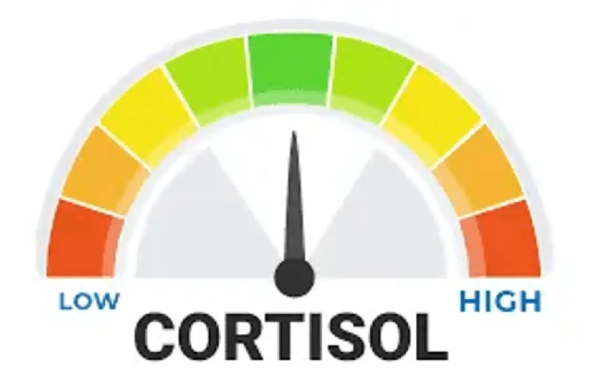 Cortisol levels - Integrative Healthcare Alliance