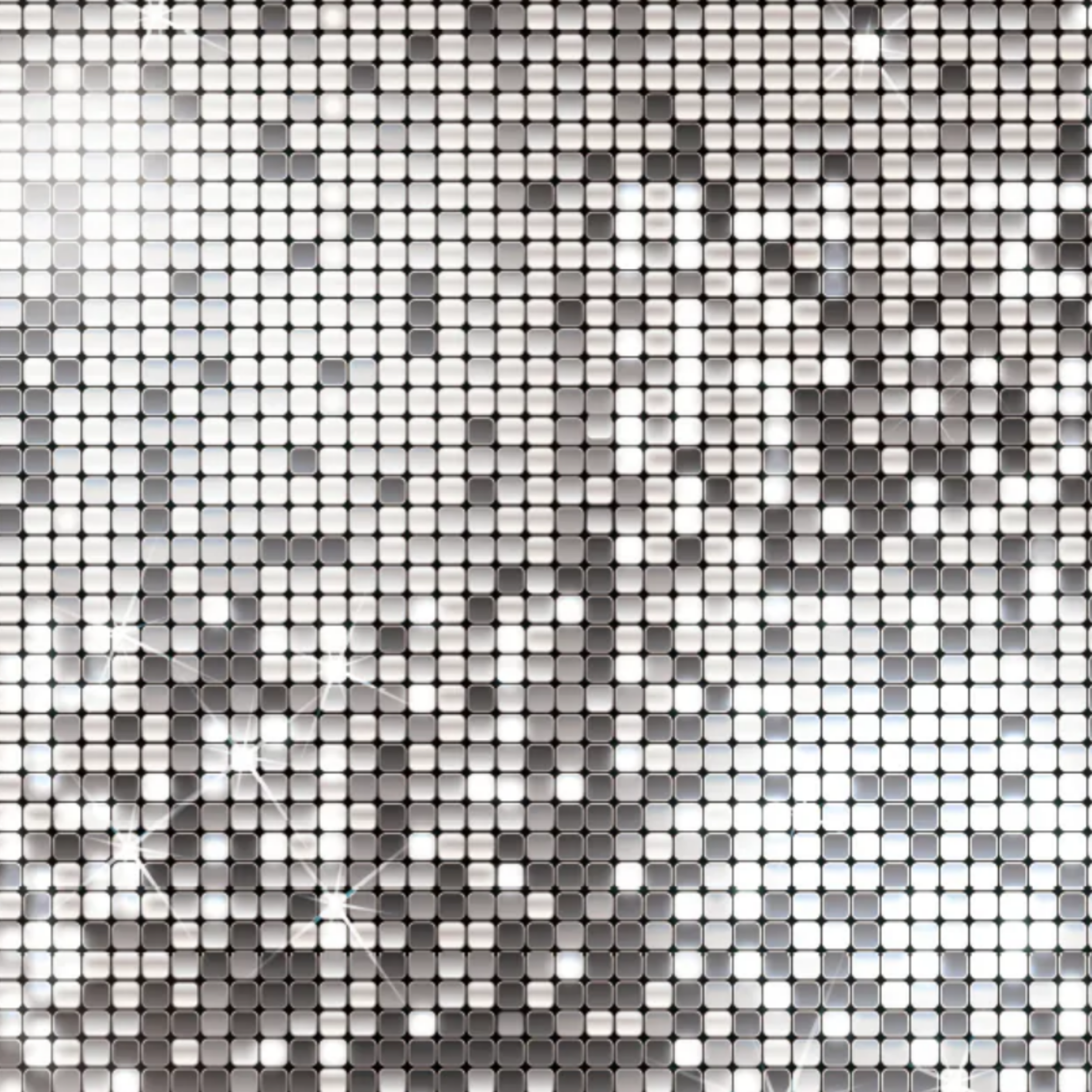 Silver Sequin
