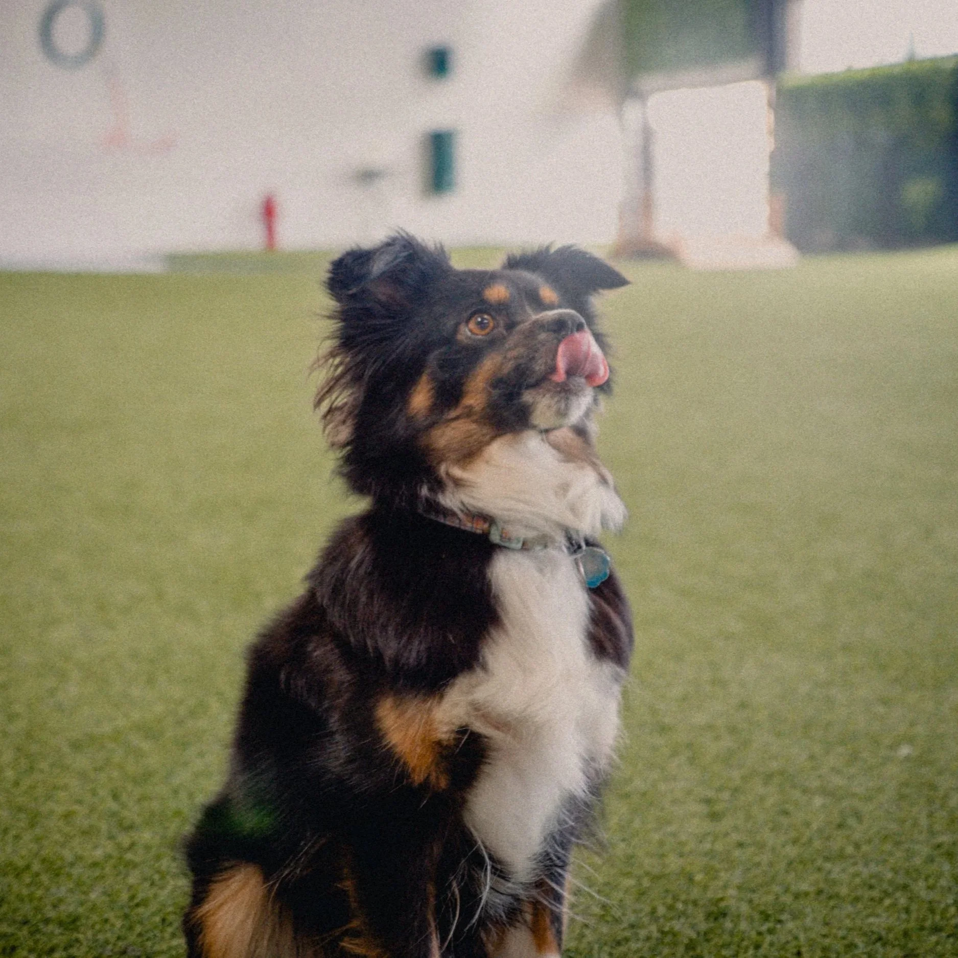 February 2026: what to expect