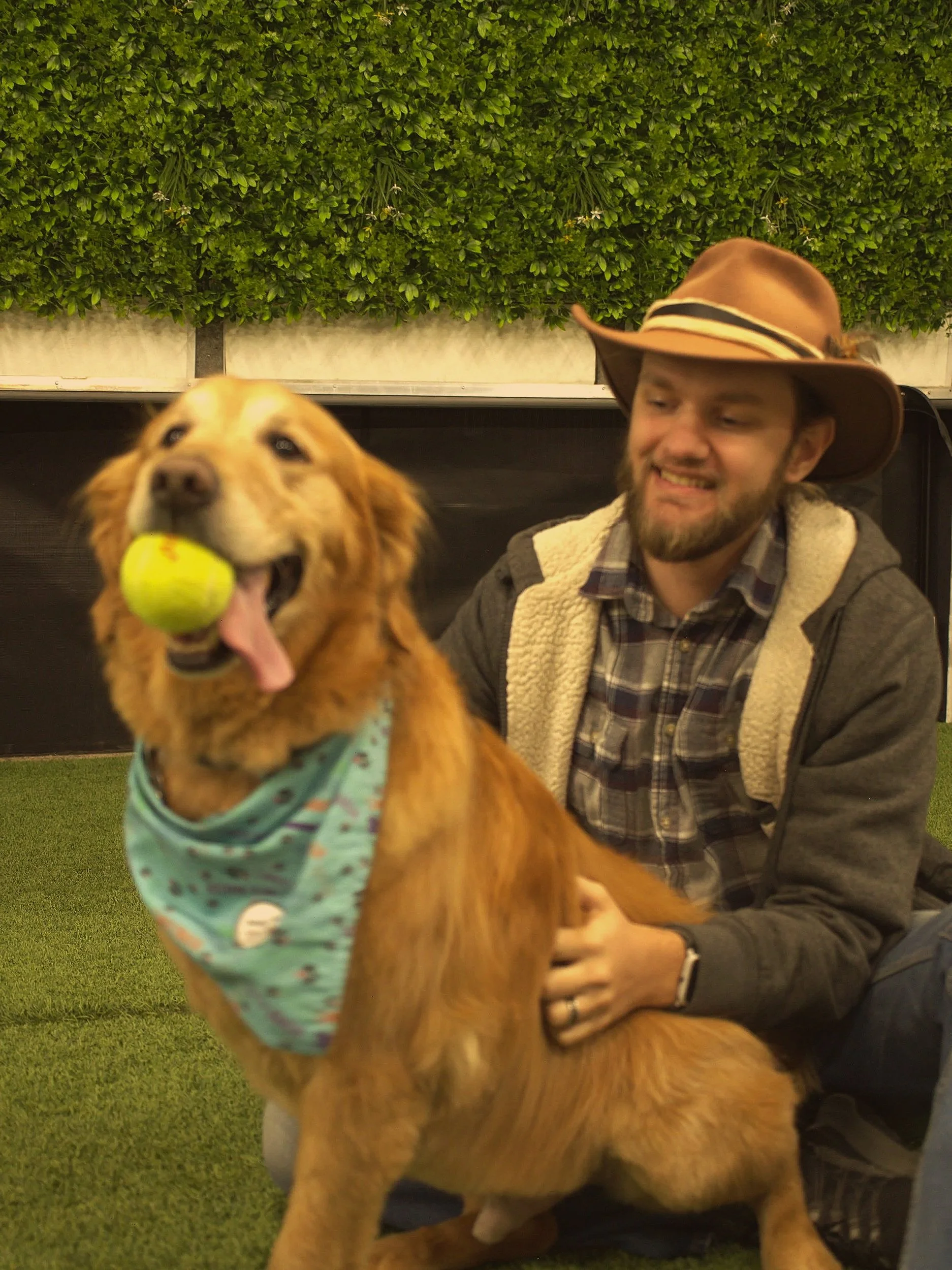 A man with a beard and plaid shirt smiling, wearing a cowboy hat, sitting next to a golden retriever dog with a tennis ball in its mouth, in front of a wall of green foliage.