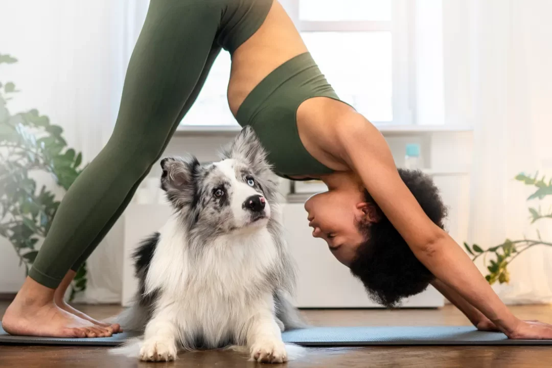 Paws &amp; poses 🐾🧘🏻‍♀️