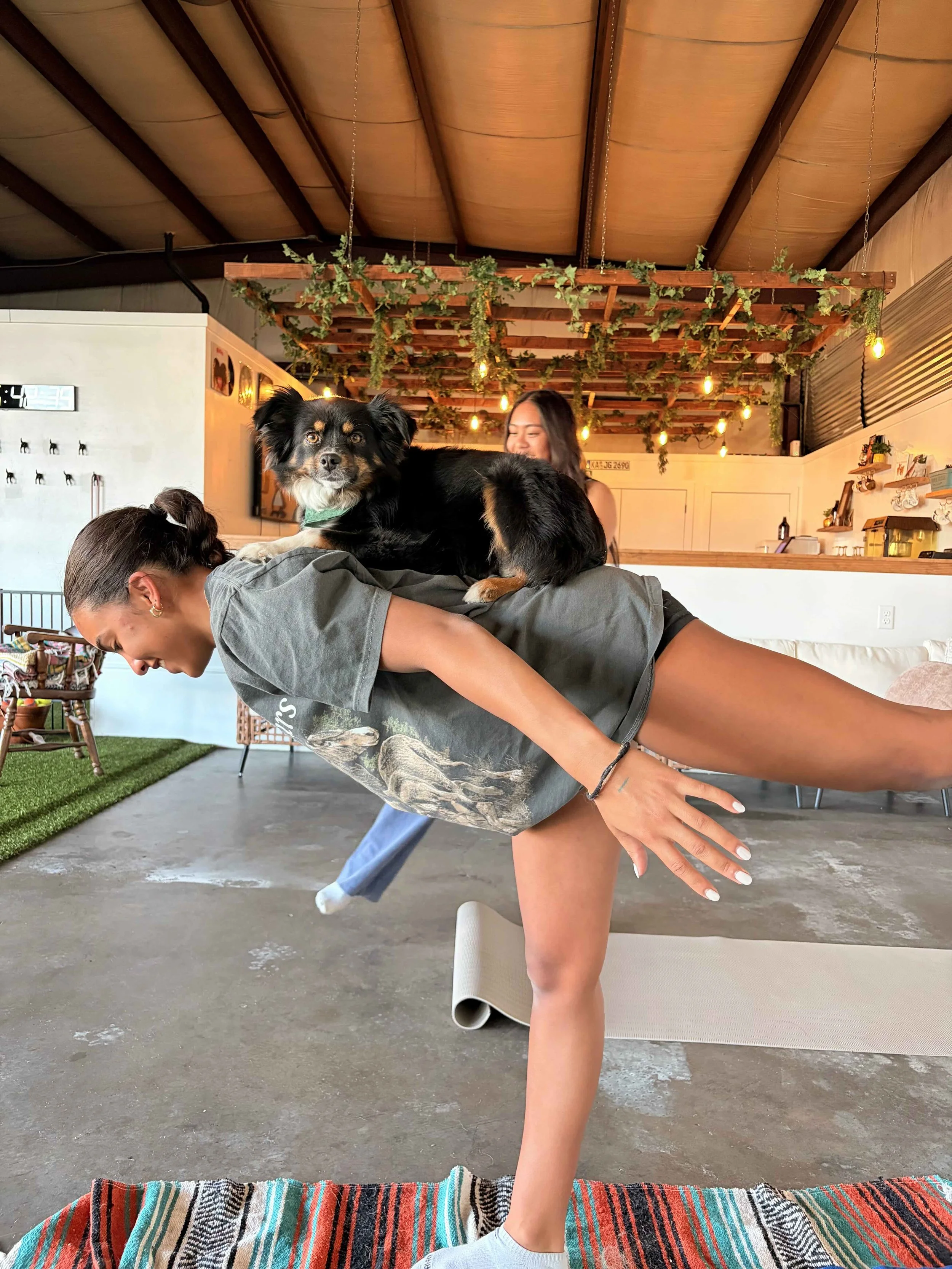 Paws &amp; poses 🐾🧘🏻‍♀️
