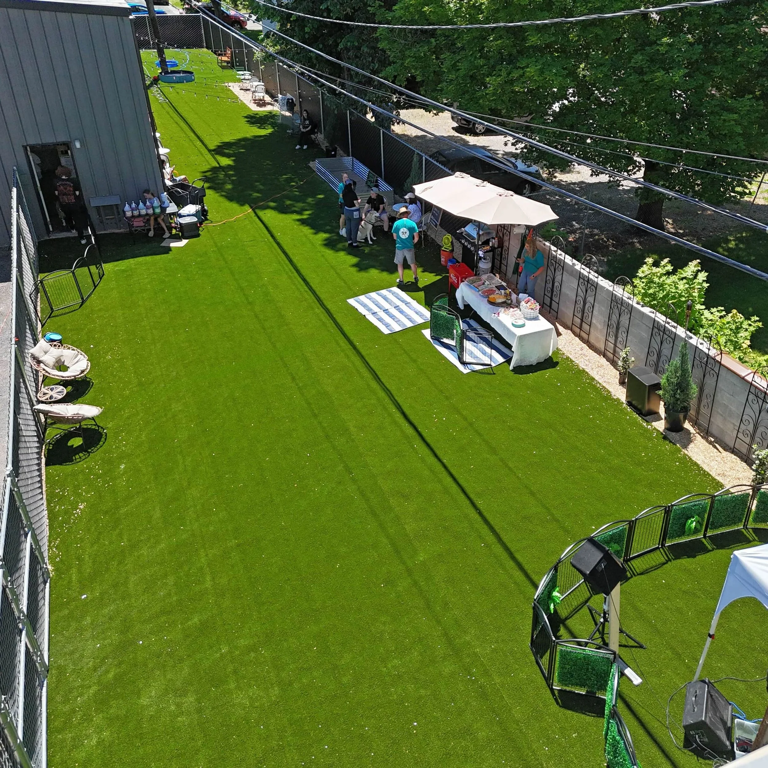 Backyard Grand REOPENING 🎉