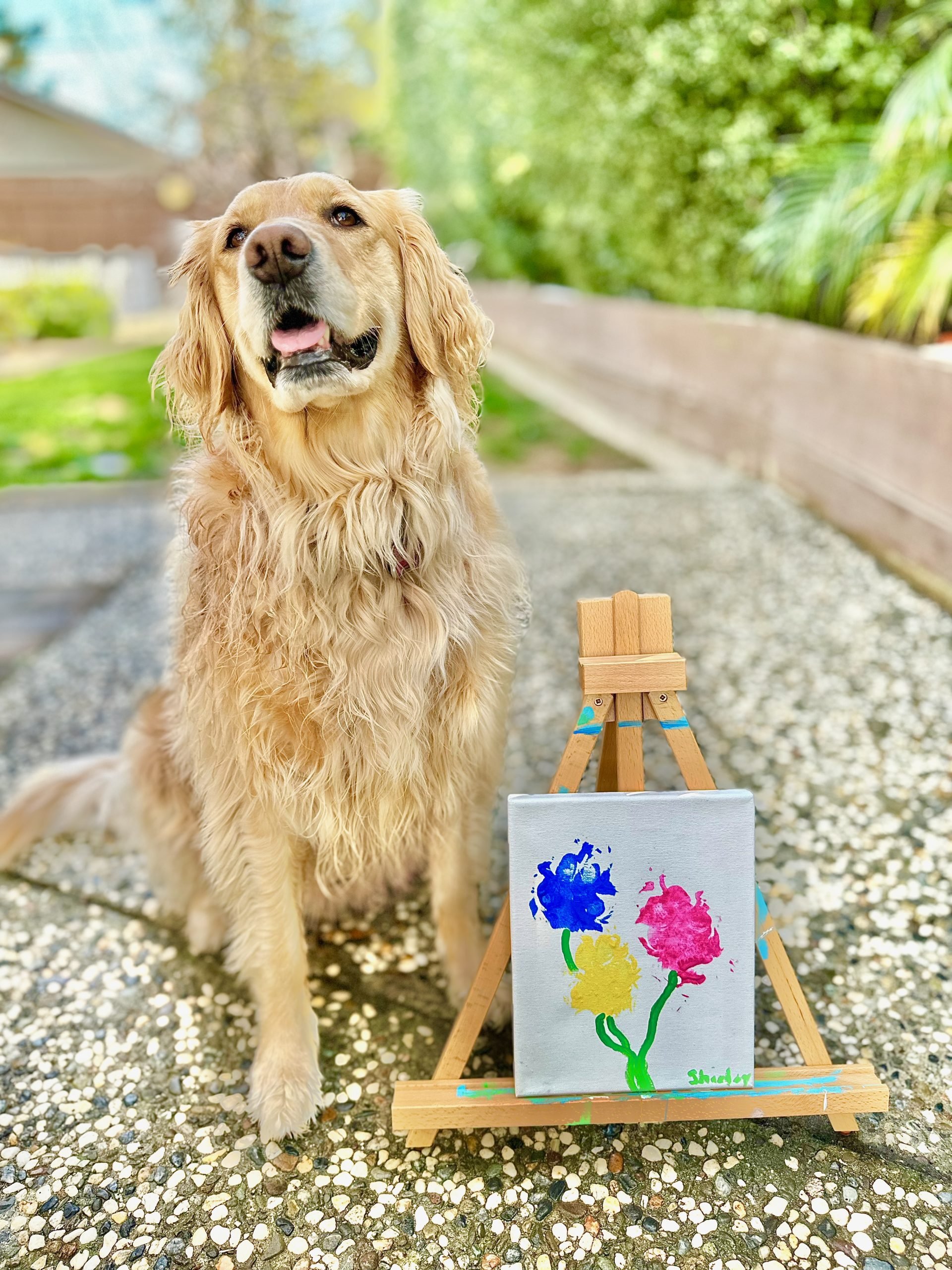 Crafting w/ Canines 🎨 