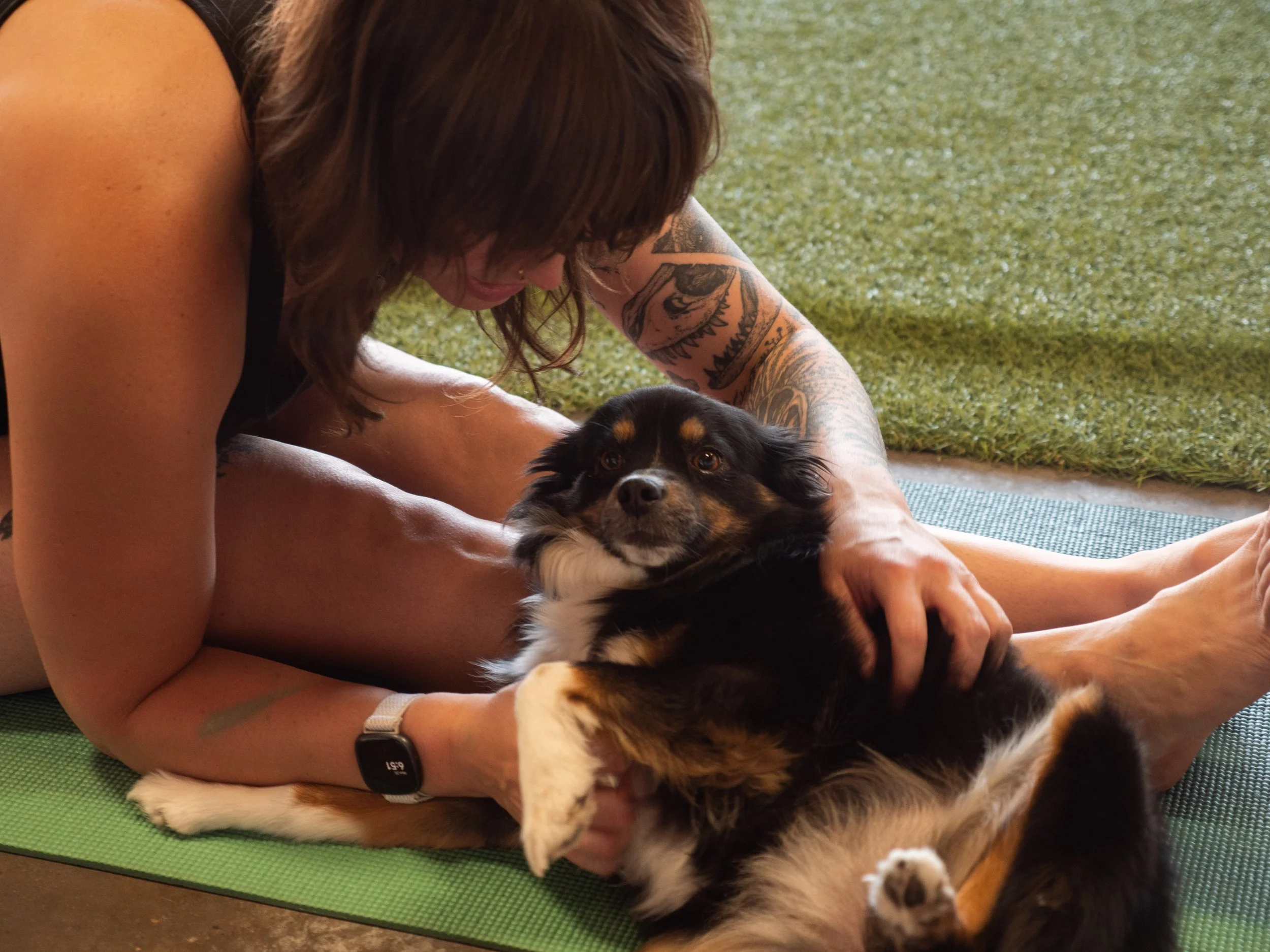 Paws and Poses: Dog Yoga at its Finest