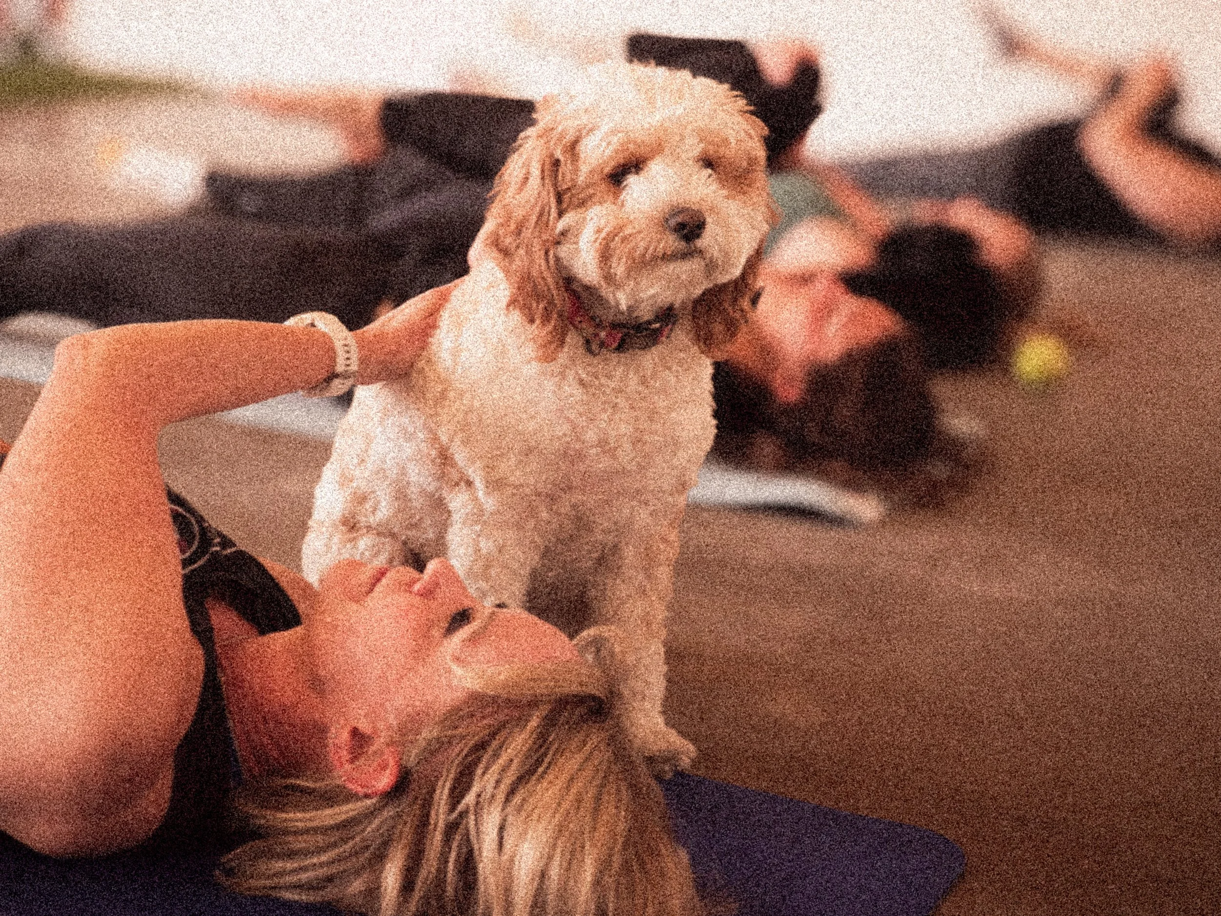 Paws &amp; Poses 🐾🧘🏻‍♀️