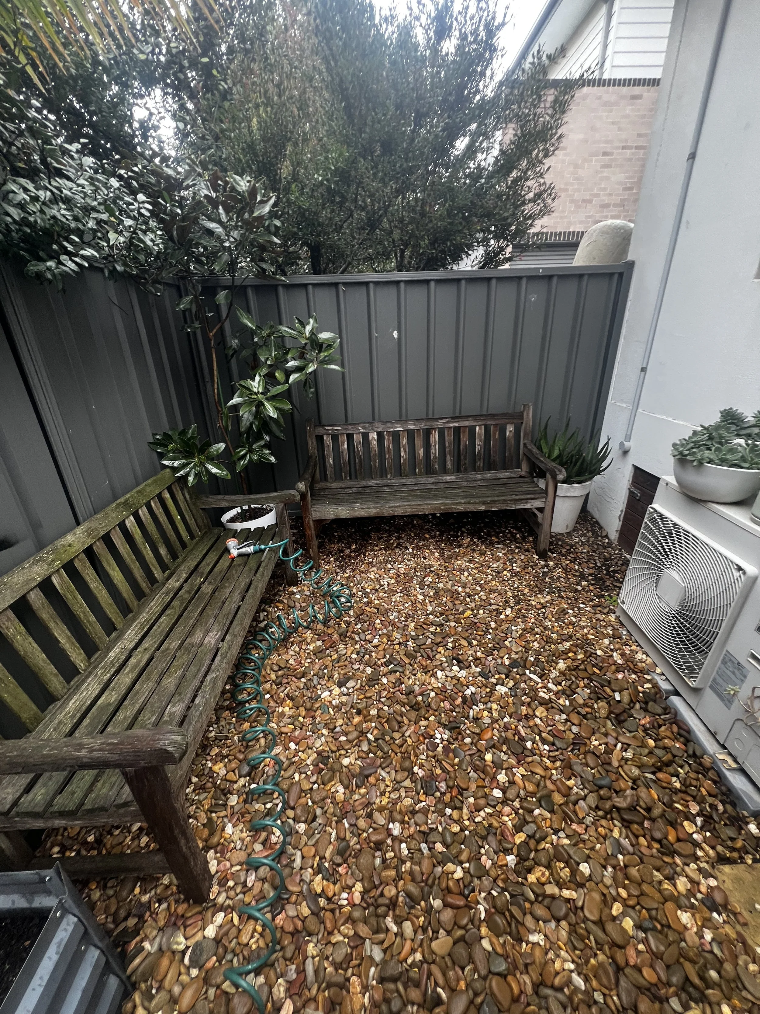 corrimal 3.jpg