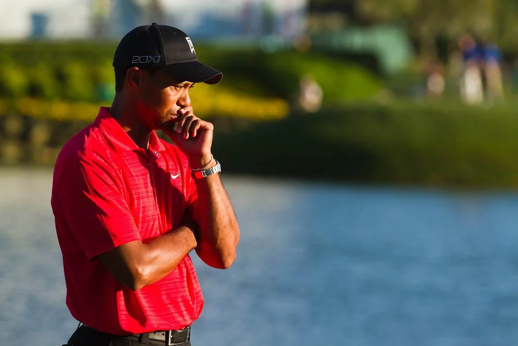 7033112163_1dae559989_b copy.jpg