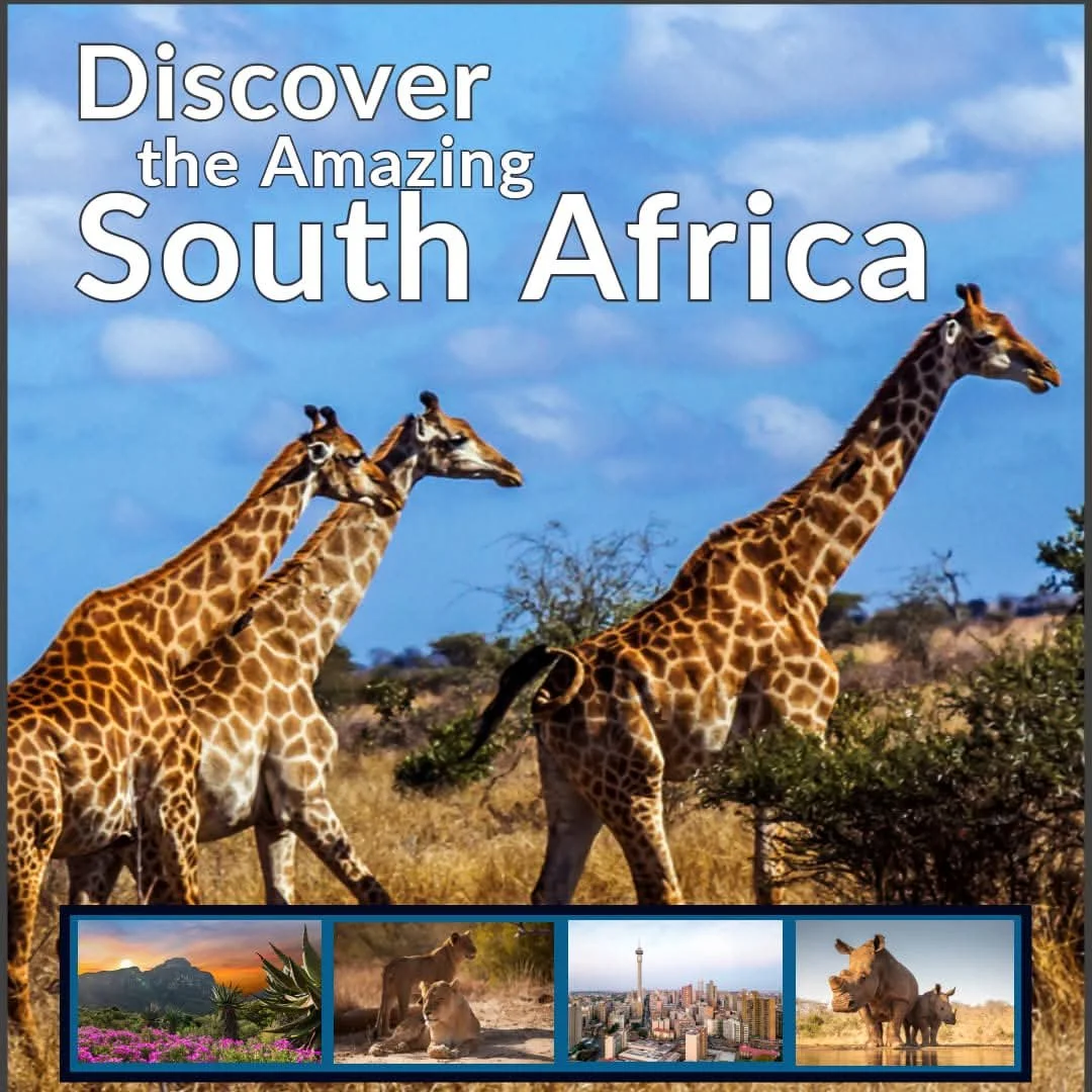 Luv2go Travel's vibrant collage ad brings South Africa’s richness to life in four distinct scenes. At the heart is a sweeping view of giraffes striding across open savanna, set against a clear, partly cloudy sky that stretches out above golden grasse