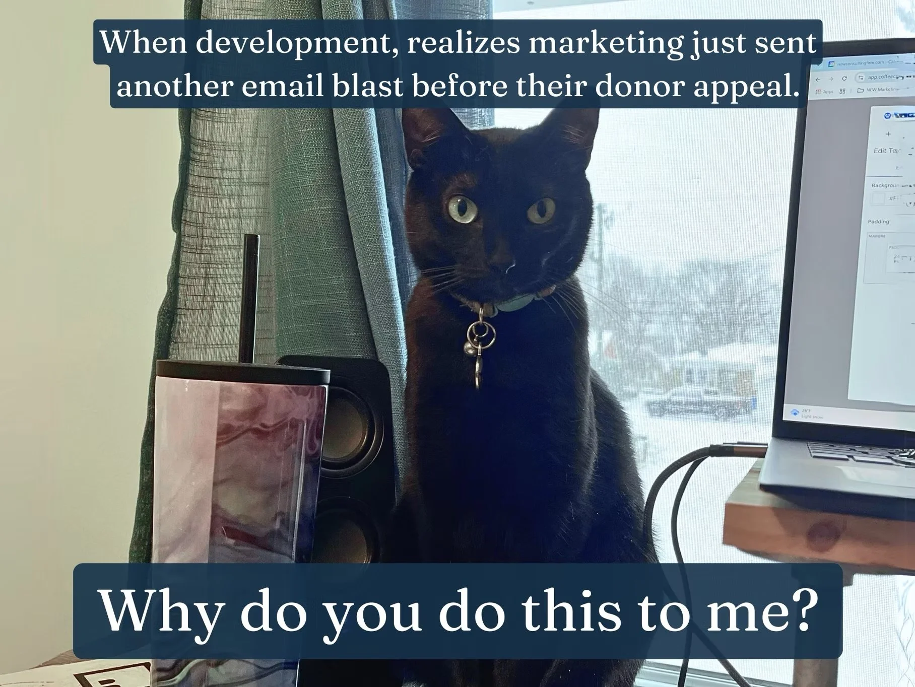How Marketing & Development Can Work Better Together