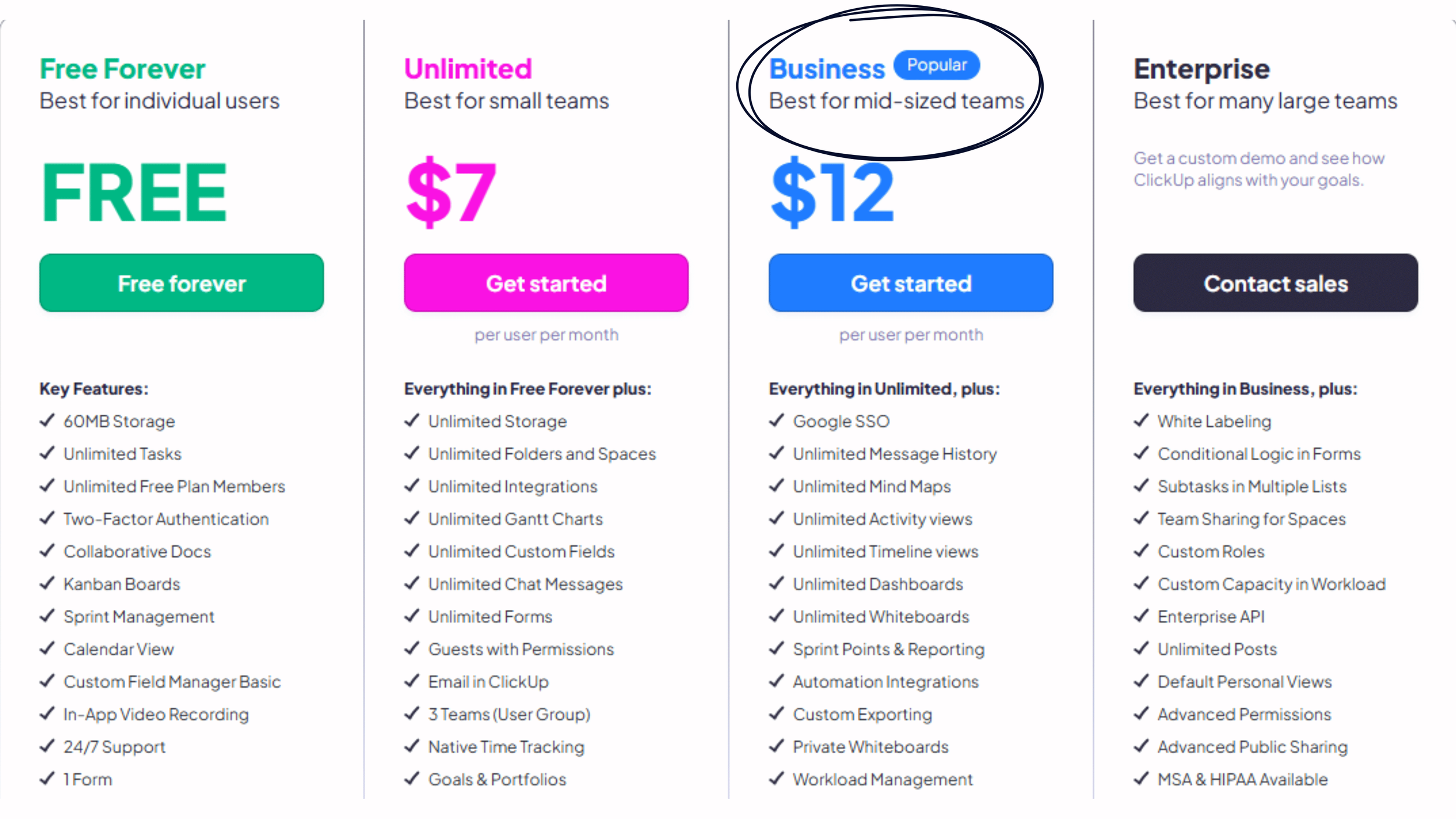 An image of a SaaS subscription pricing page with the middle option Business circled before Enterprise.