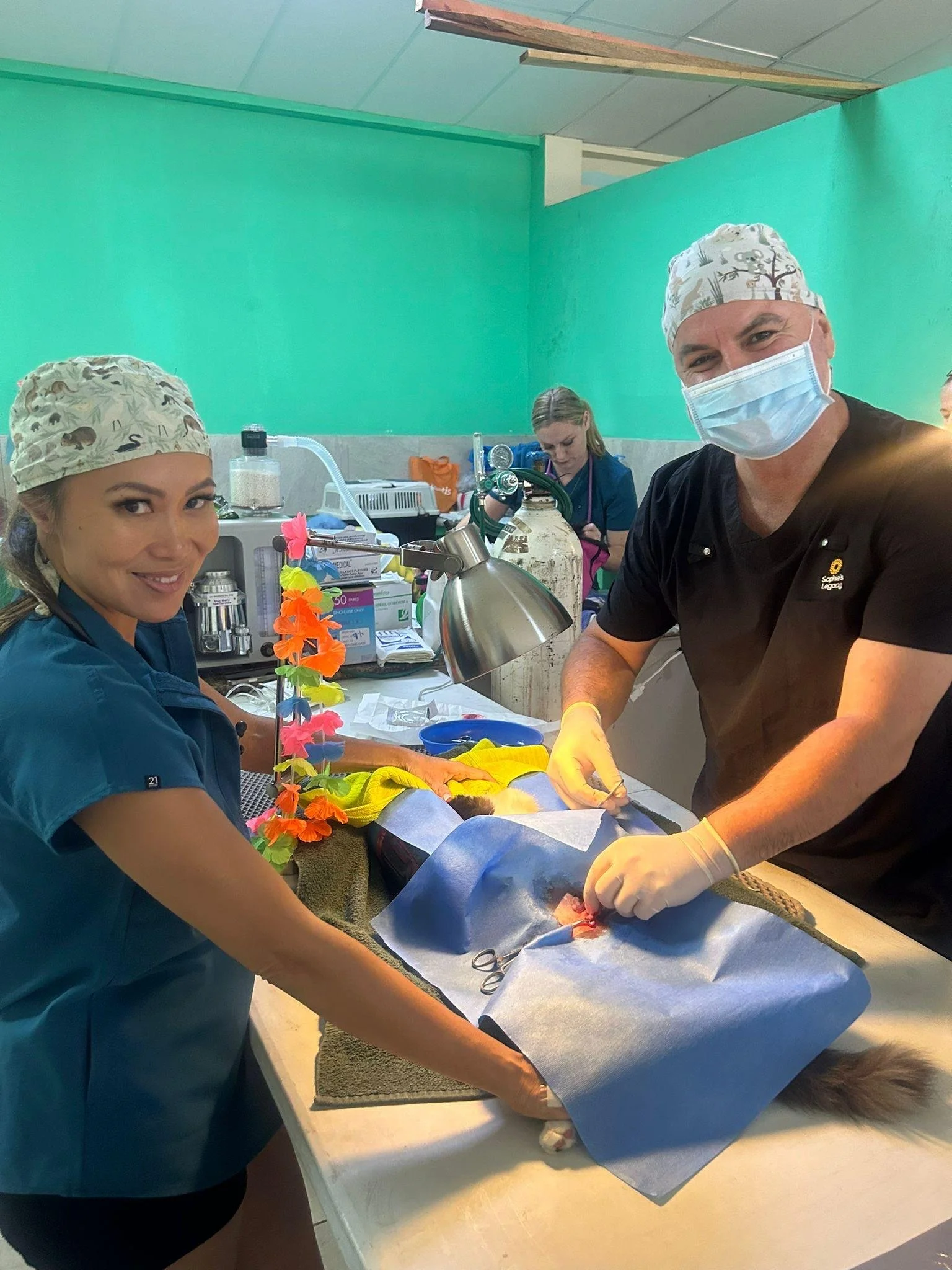 One of the best experiences of my life!! My first volunteering experience combined with a great adventure.