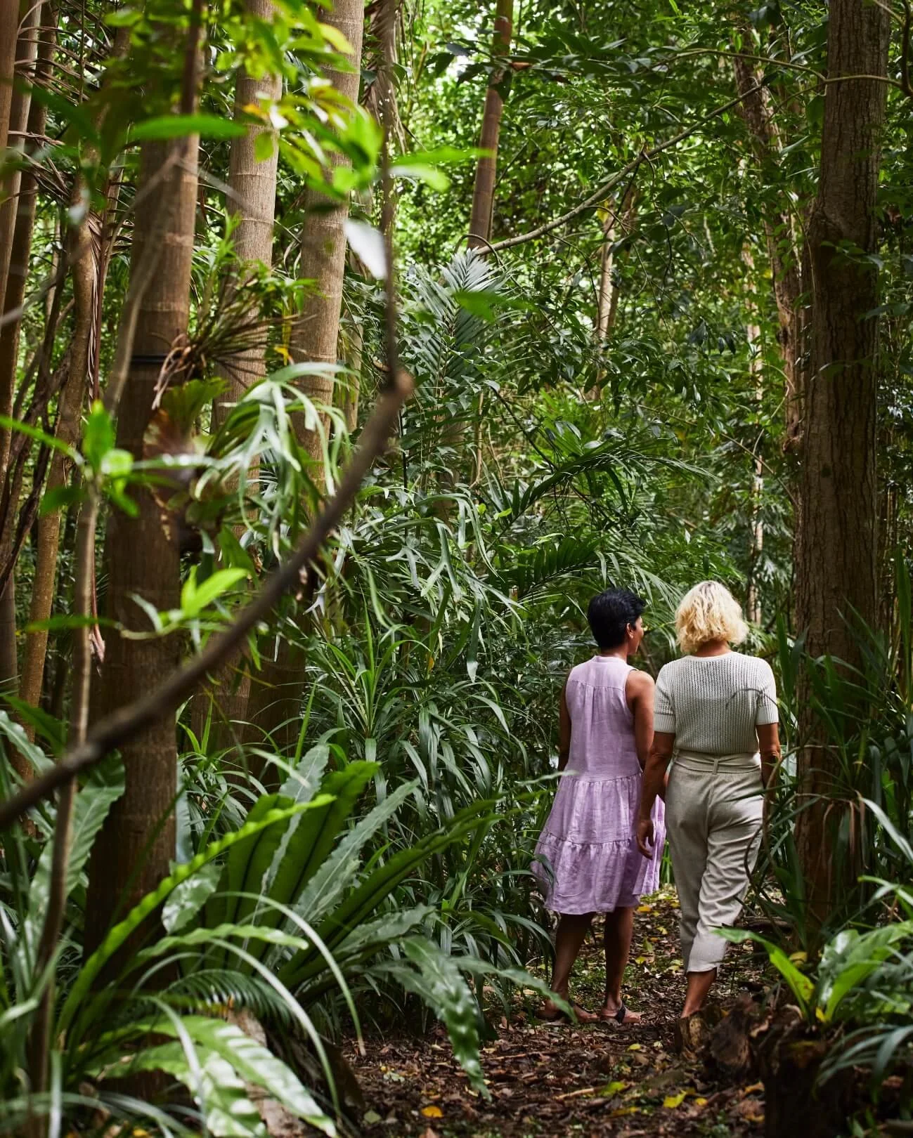 Our-Pillars-Sustainability-Friends-Bushwalking.jpeg