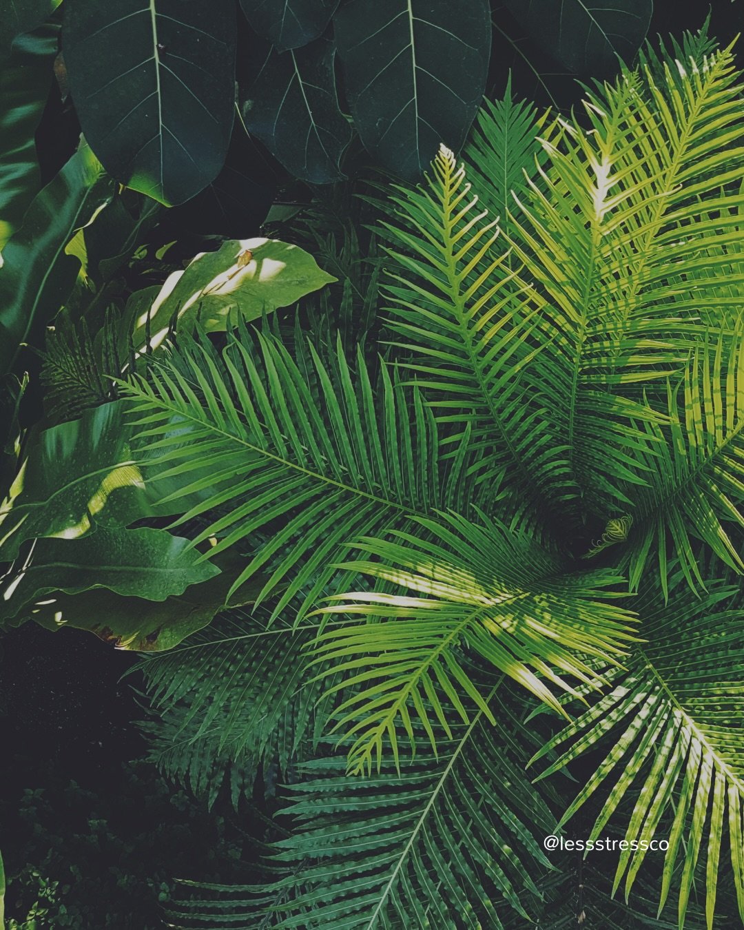 Regulation doesn&rsquo;t mean you never feel stress.

It means you know how to come back faster.

You can train that. One breath at a time.

Stress less. Do more.

#breathworkpractice #stressless #lessstressco