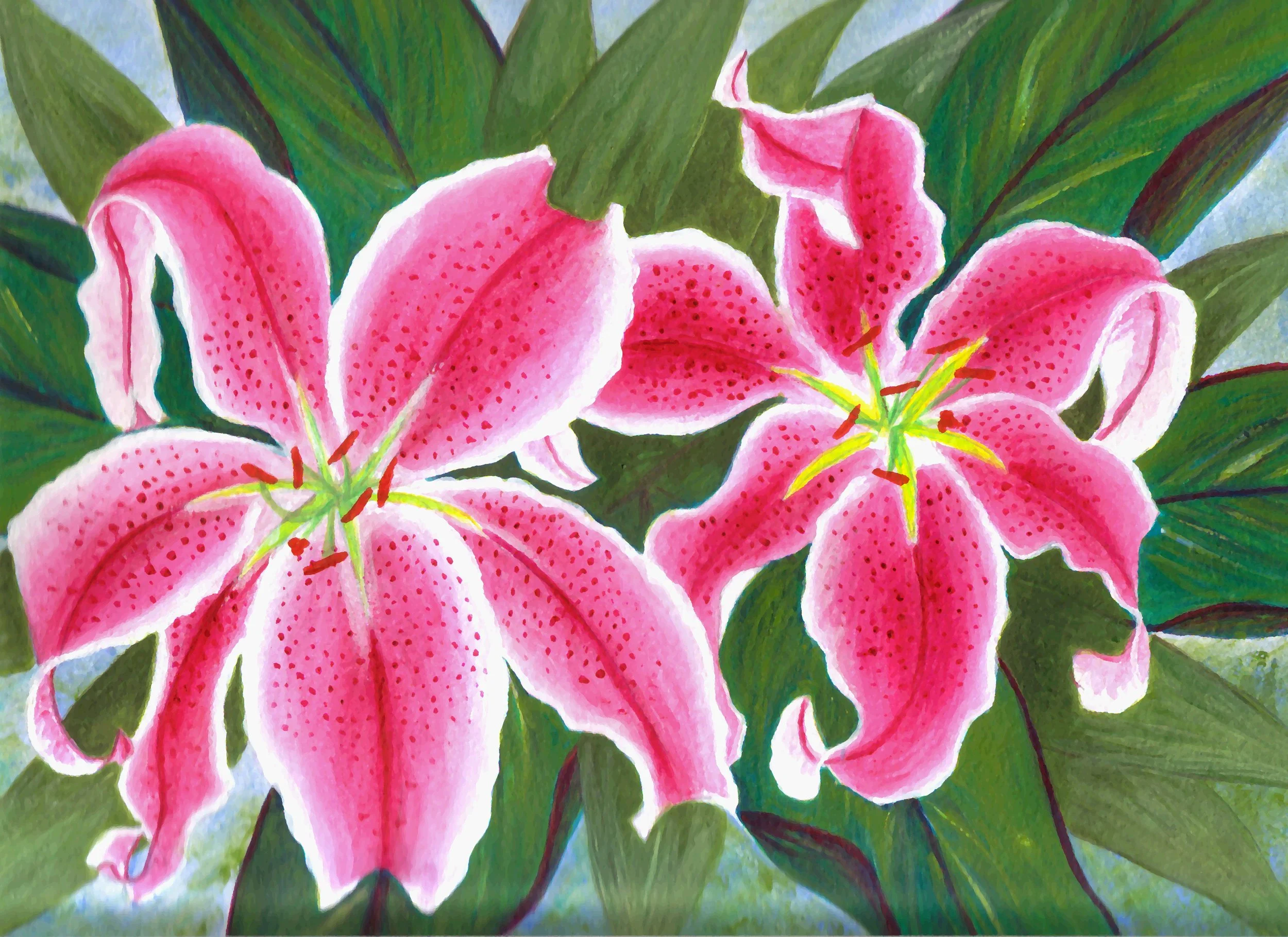 Oriental lilies - water colour pencil and acrylic.jpg