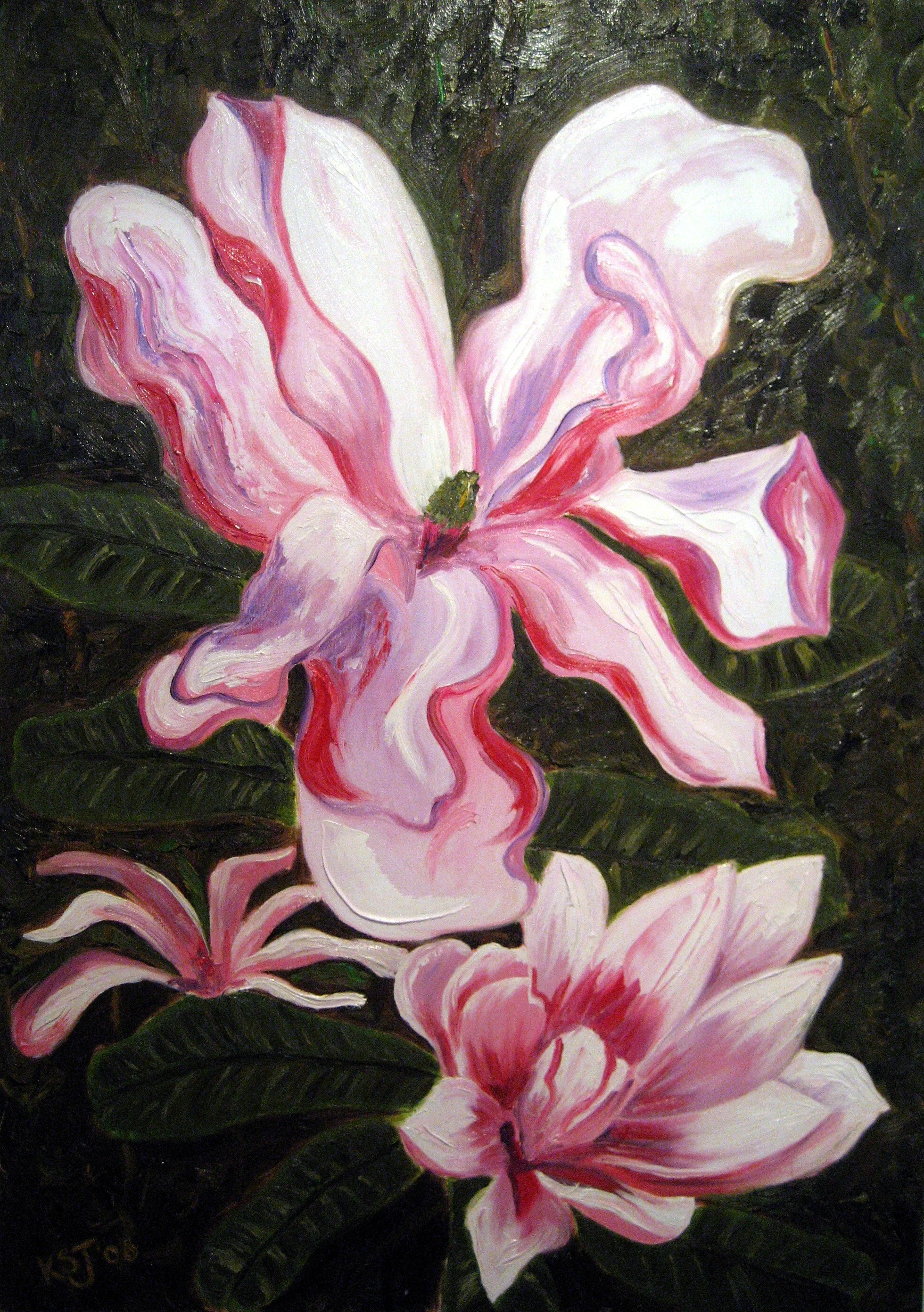 Magnolia oil.jpg