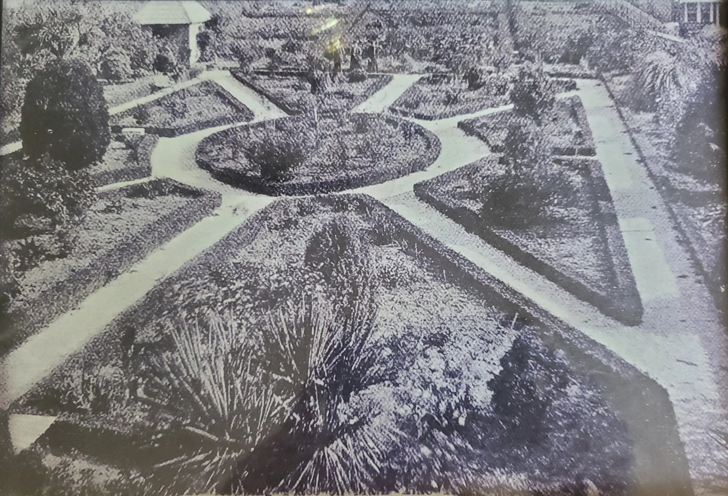 Garden cropped.jpg