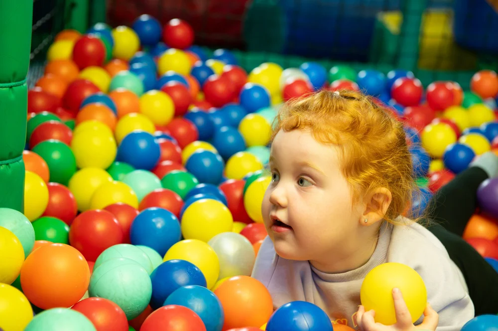 Children playing in the soft play at Diddy Middys