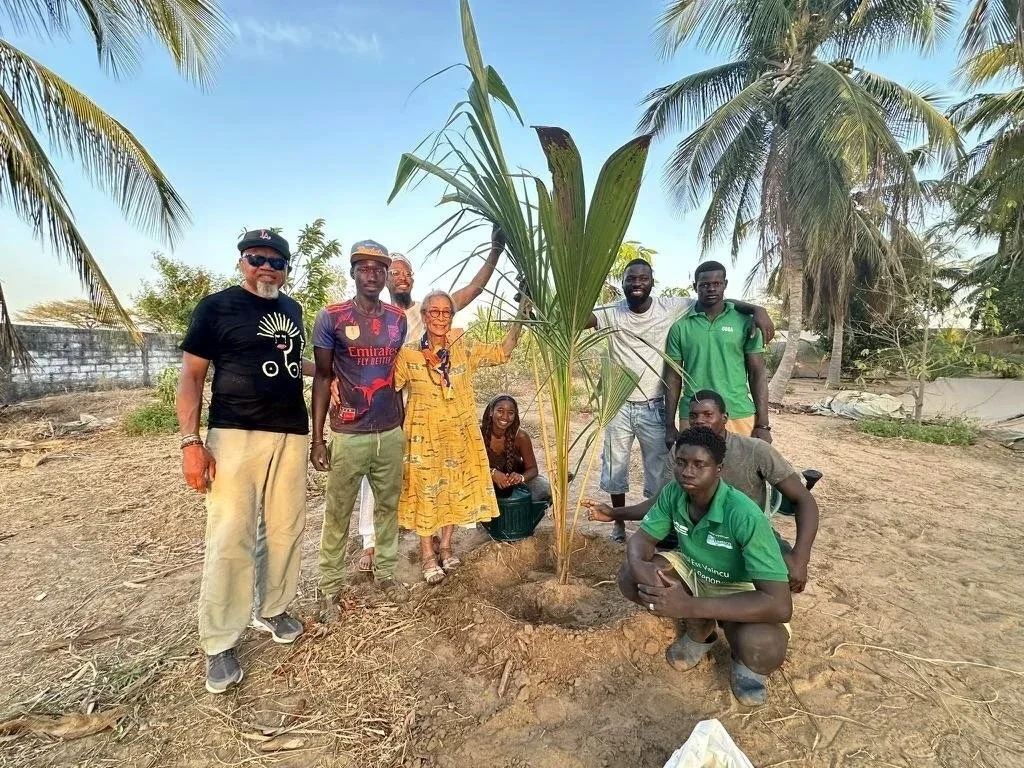 KAYDARA AGROECOLOGY FARM-SCHOOL,&nbsp; SENEGAL by Nobuko Miyamoto