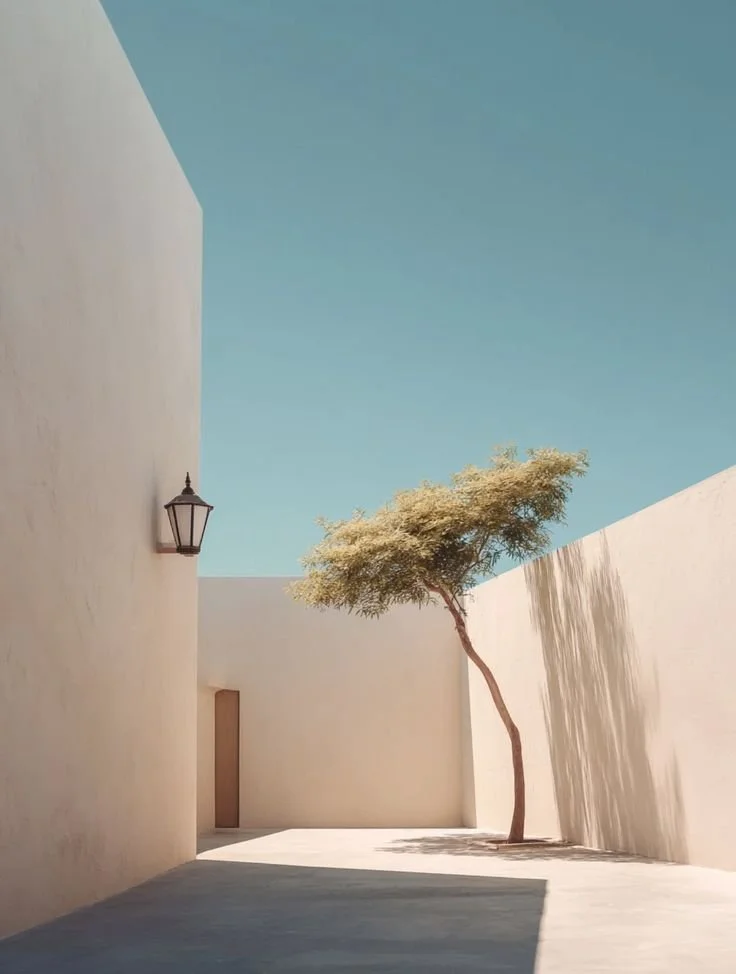 ميسم البيت من جونري