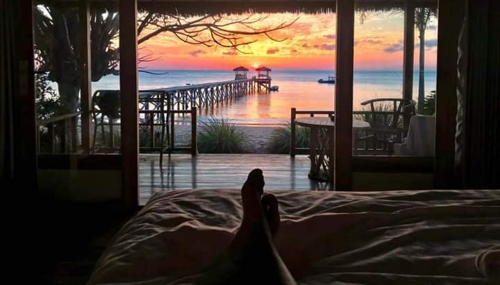 490d41ce-058c-4aad-8325-017a832e998f.jfif