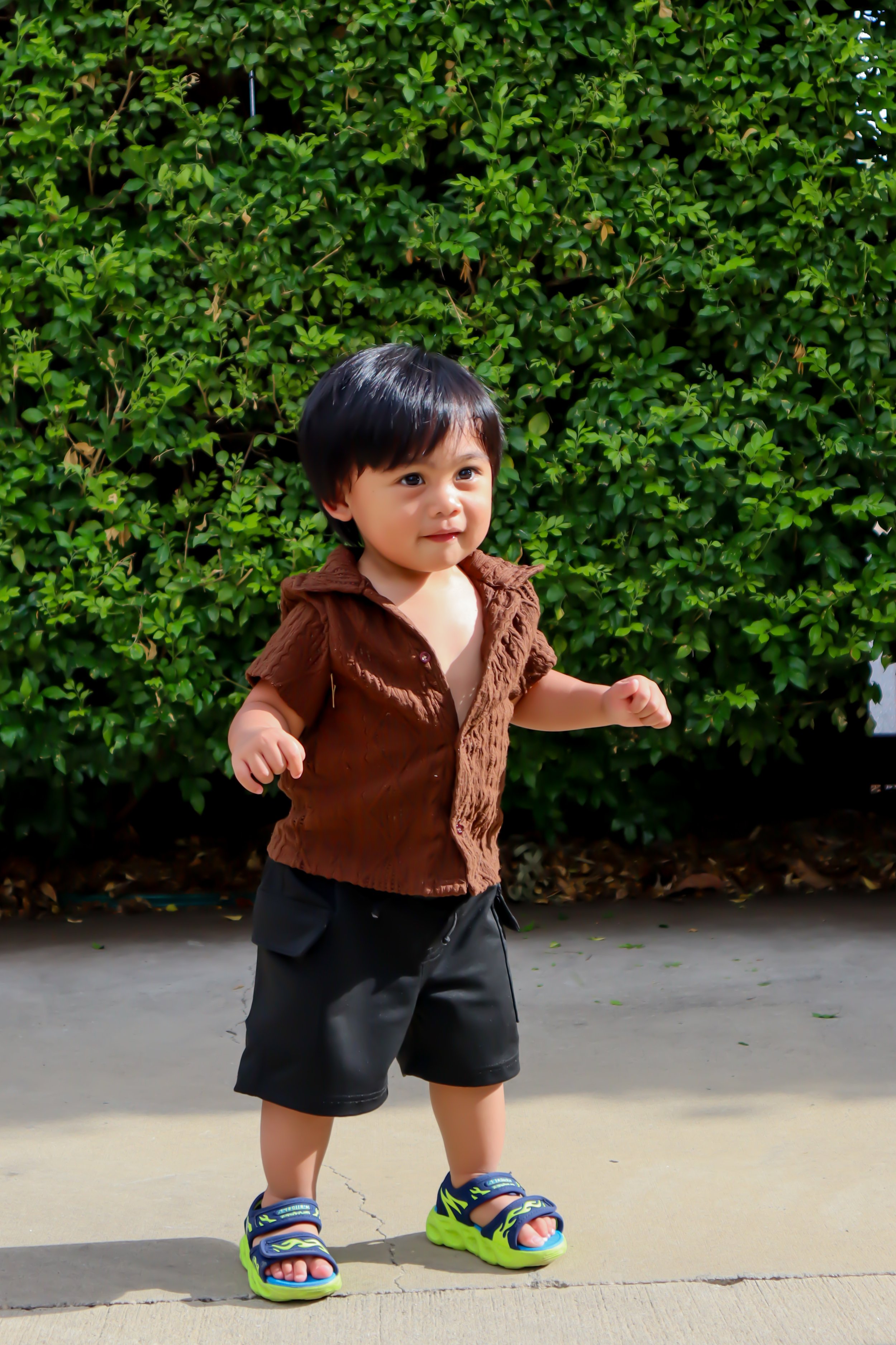 A young child with dark hair and light skin standing outdoors on a concrete surface in front of a dense green hedge, wearing a brown short-sleeved shirt, black shorts, and green and blue sports sandals.