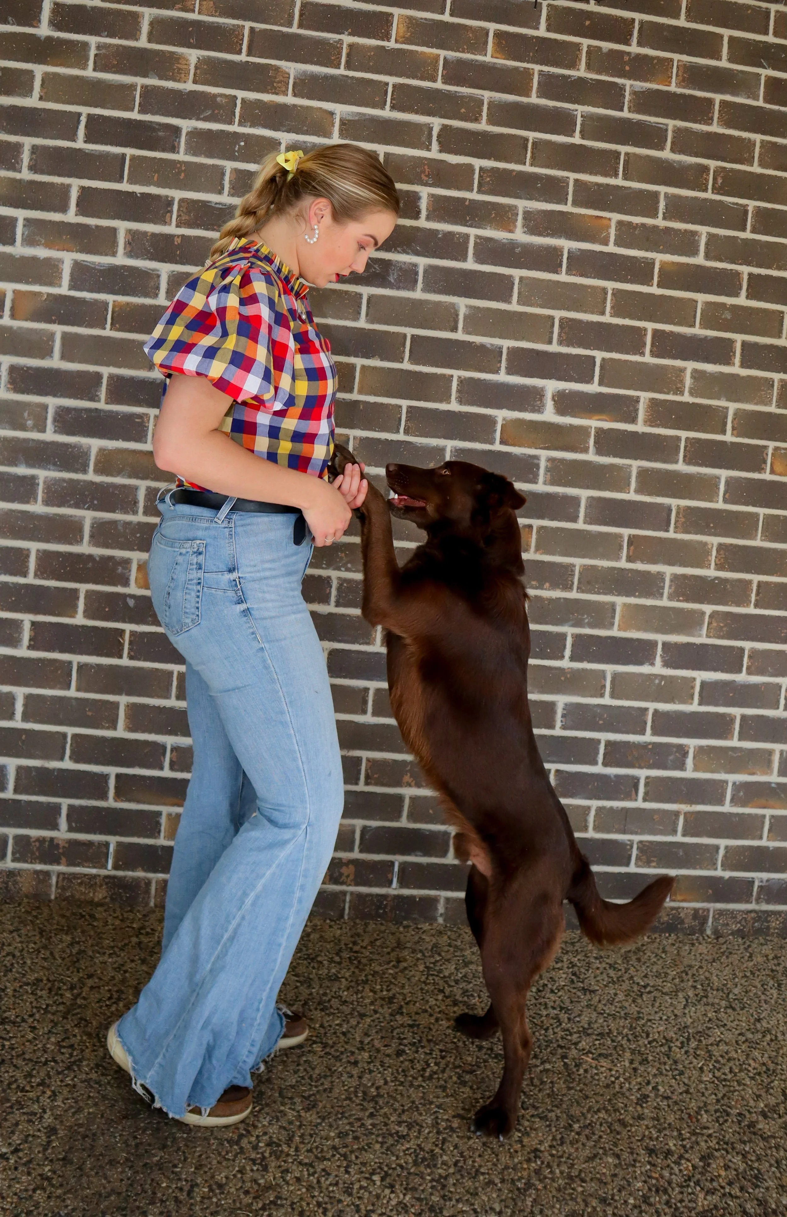 A woman in a checkered blouse and blue jeans standing against a brick wall, interacting with a brown dog standing on its hind legs. The woman and dog are touching paws.