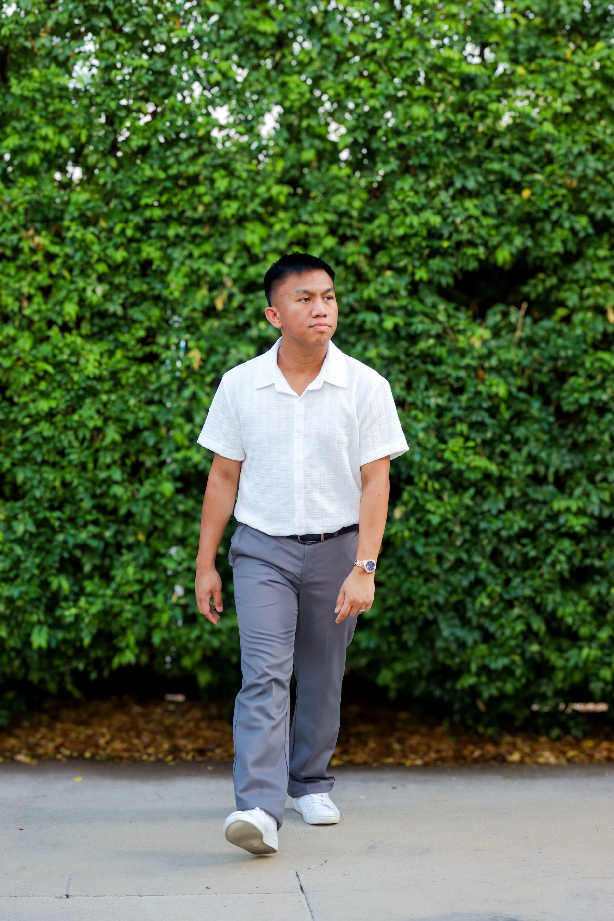 A young man with short black hair, wearing a white short-sleeved button-up shirt, gray pants, white sneakers, and a watch, walks along a sidewalk in front of a lush green hedge.