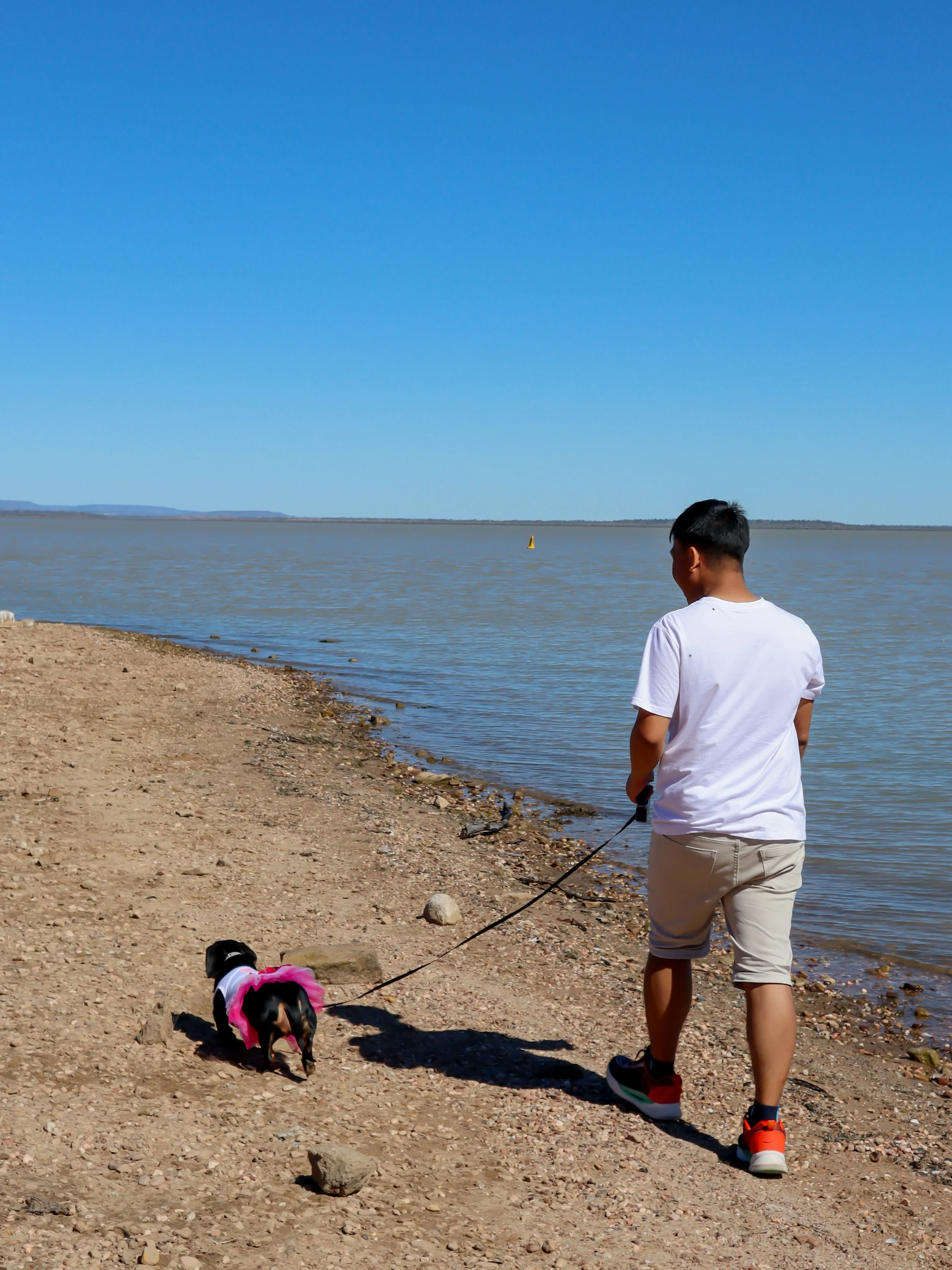 A person walking a dog on a pebble beach by a body of water on a sunny day with clear blue skies.