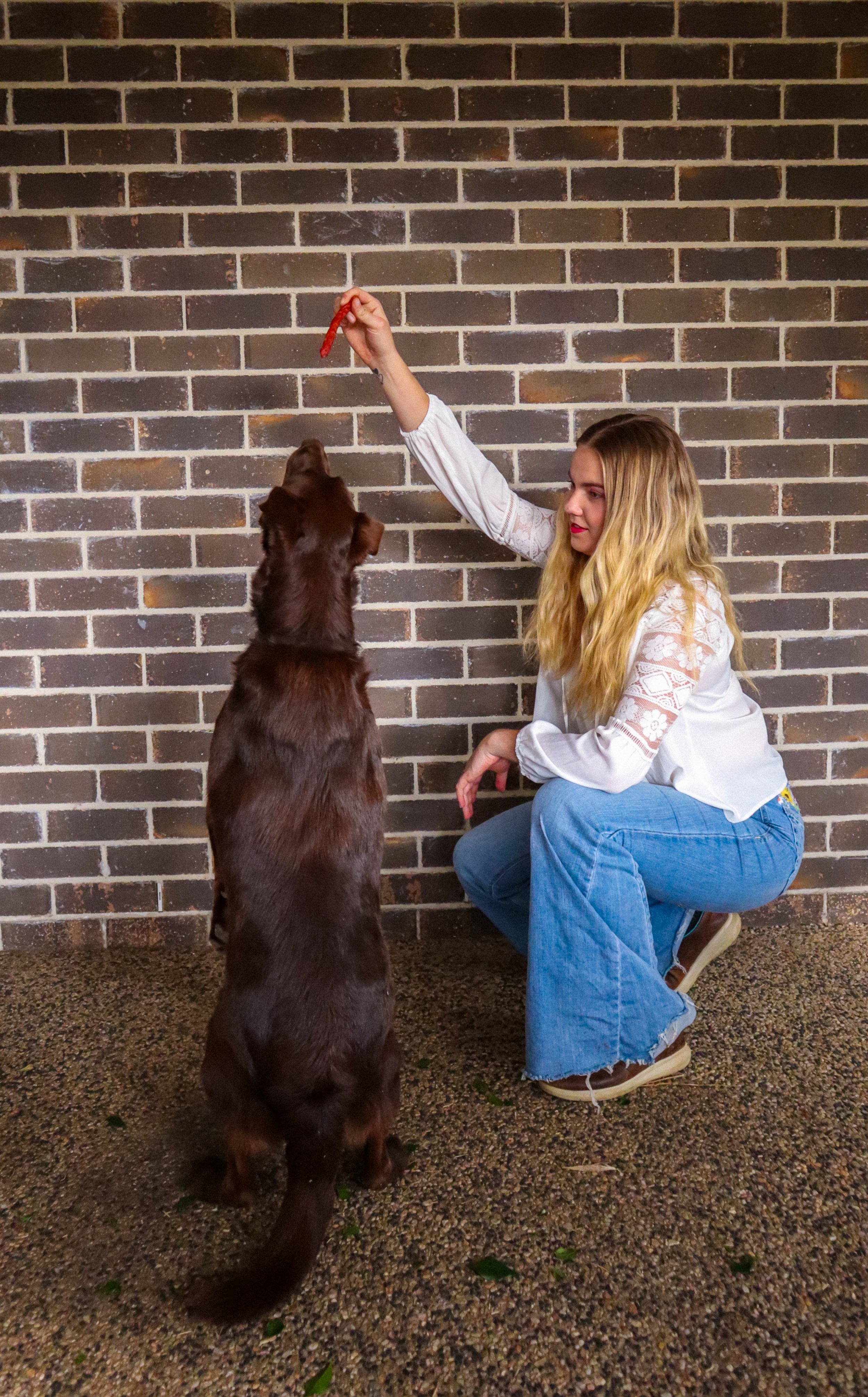 Woman crouching down playing fetch with a brown dog against a brick wall, holding a red toy in her hand.
