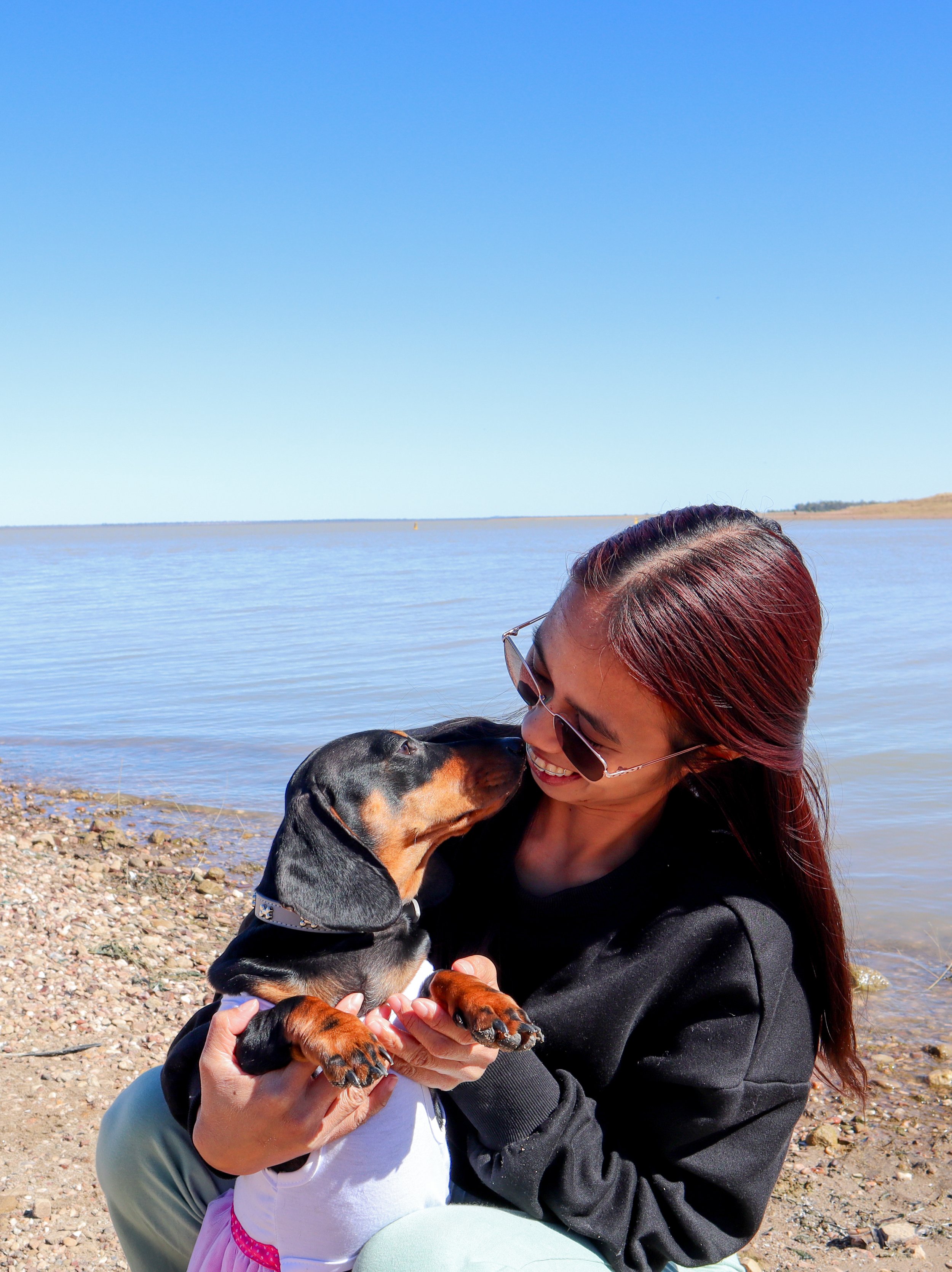 A woman wearing sunglasses and a black jacket holding a black and tan dachshund puppy on a pebble beach near a body of water, with a clear blue sky in the background.
