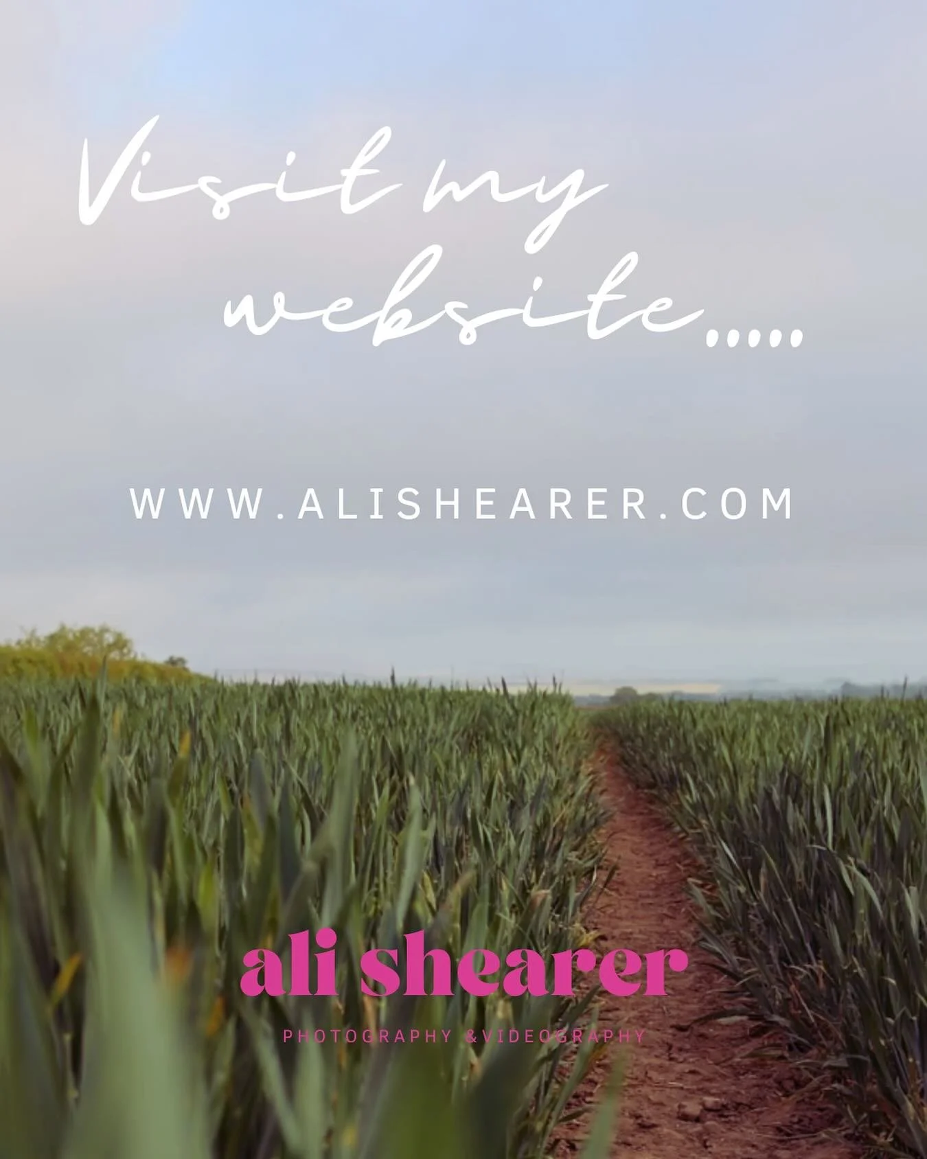 This morning, I pressed “publish” - and my new website is live.
It feels a bit like opening the door to my creative home: part portfolio, part story, part me.
I’d love for you to take a look around and let me know what you think.