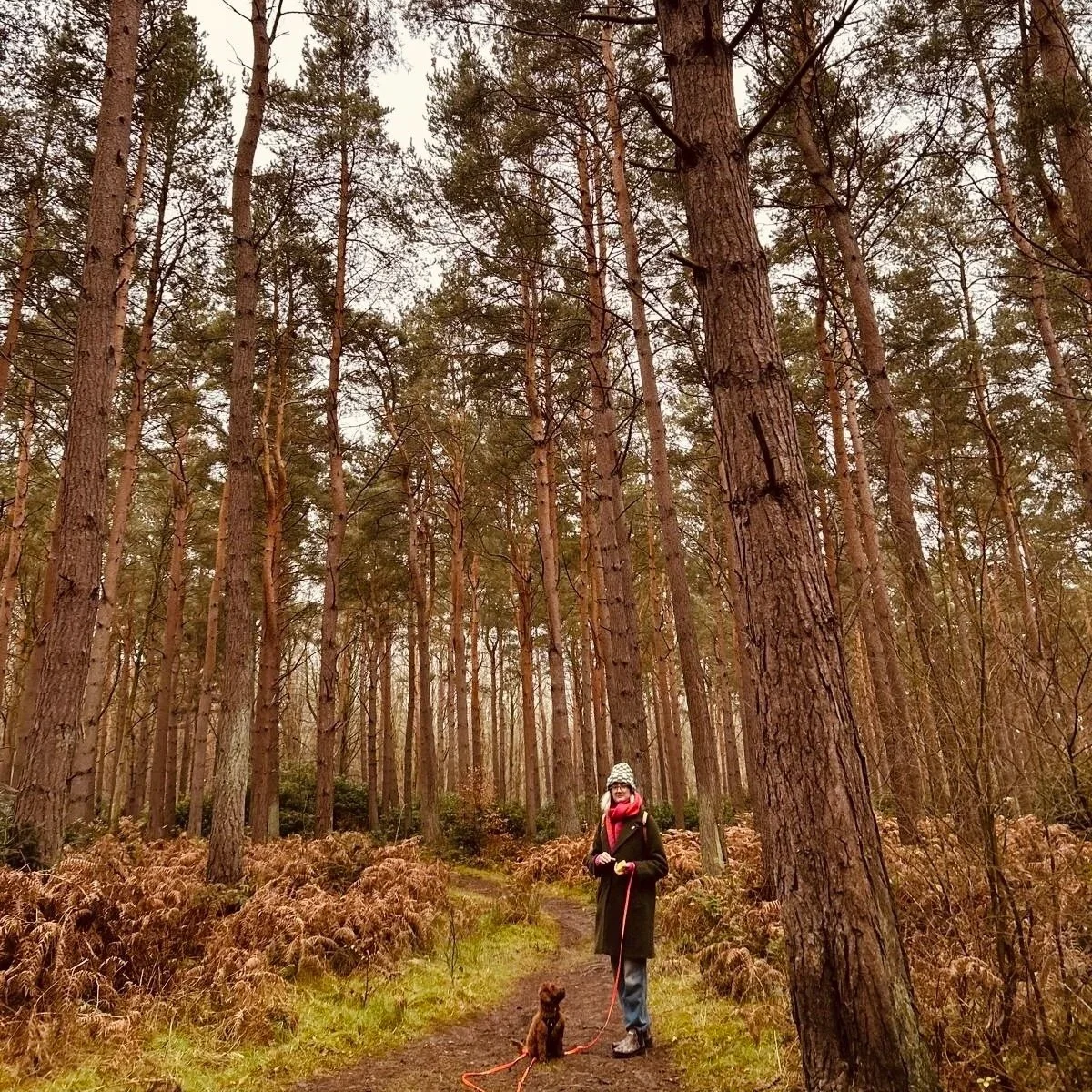 What 2025 Taught Me and How It’s Changing 2026